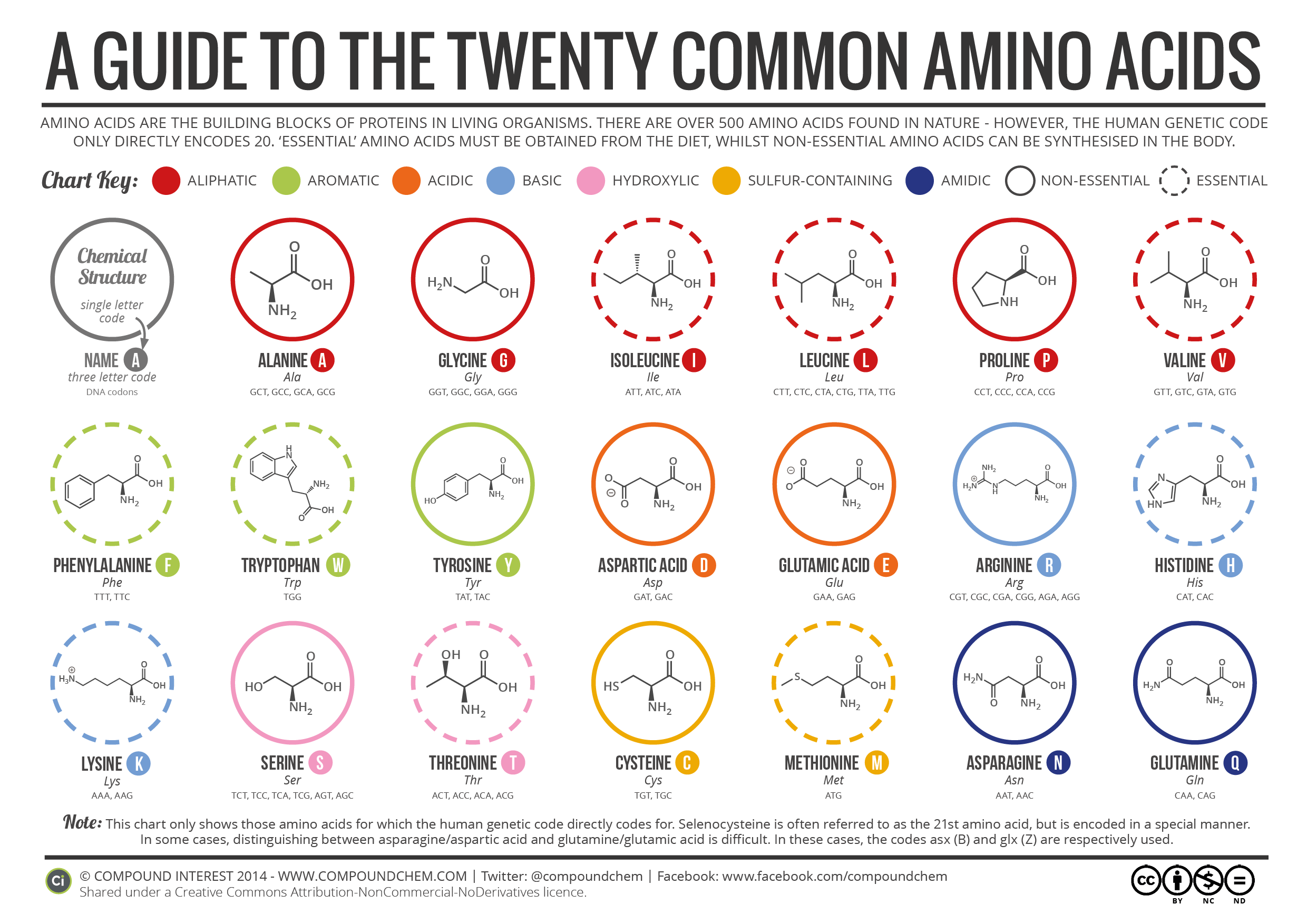 Weapons of Mass Construction: Amino Acids