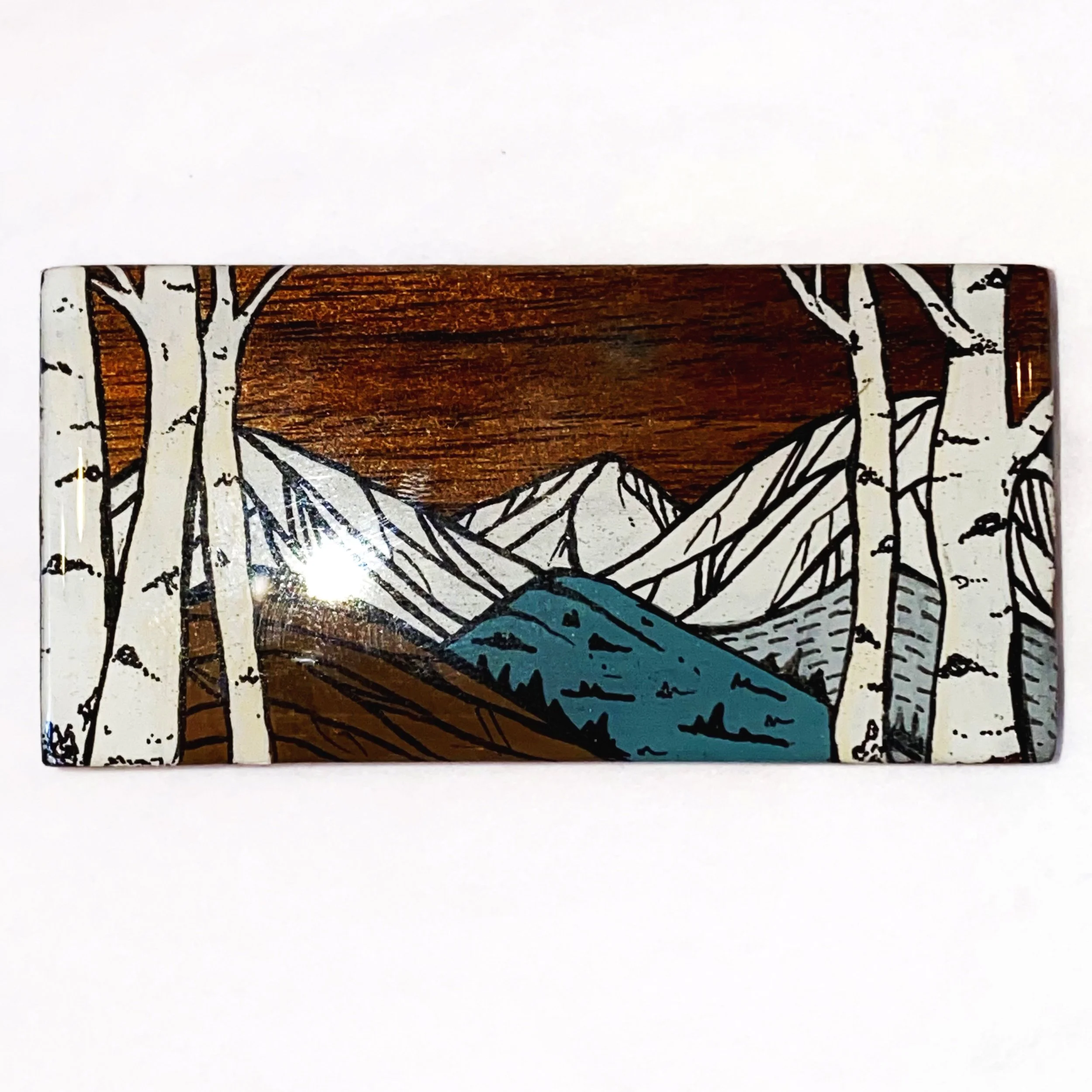 Winter Mt. Elbert