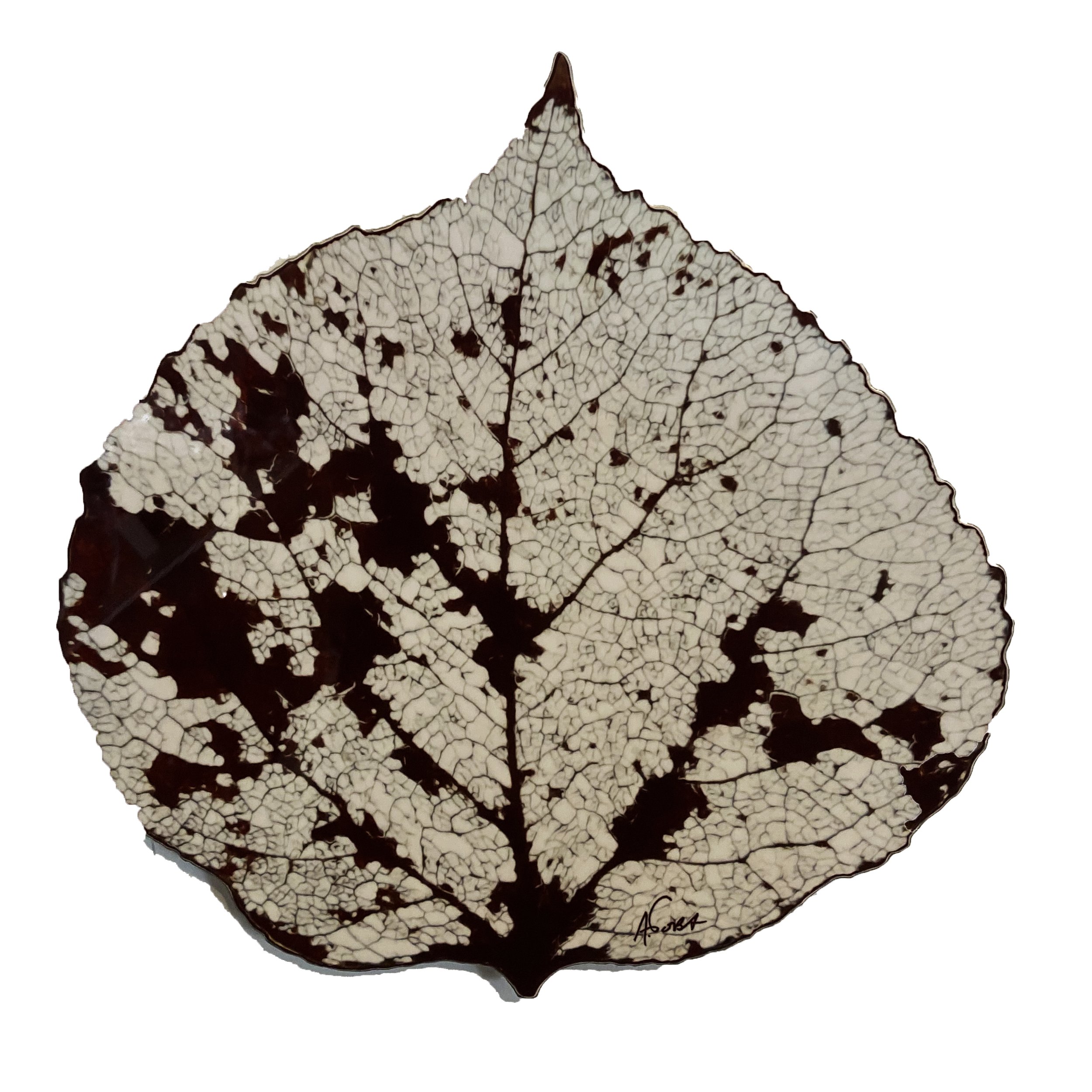 Aspen1.jpg