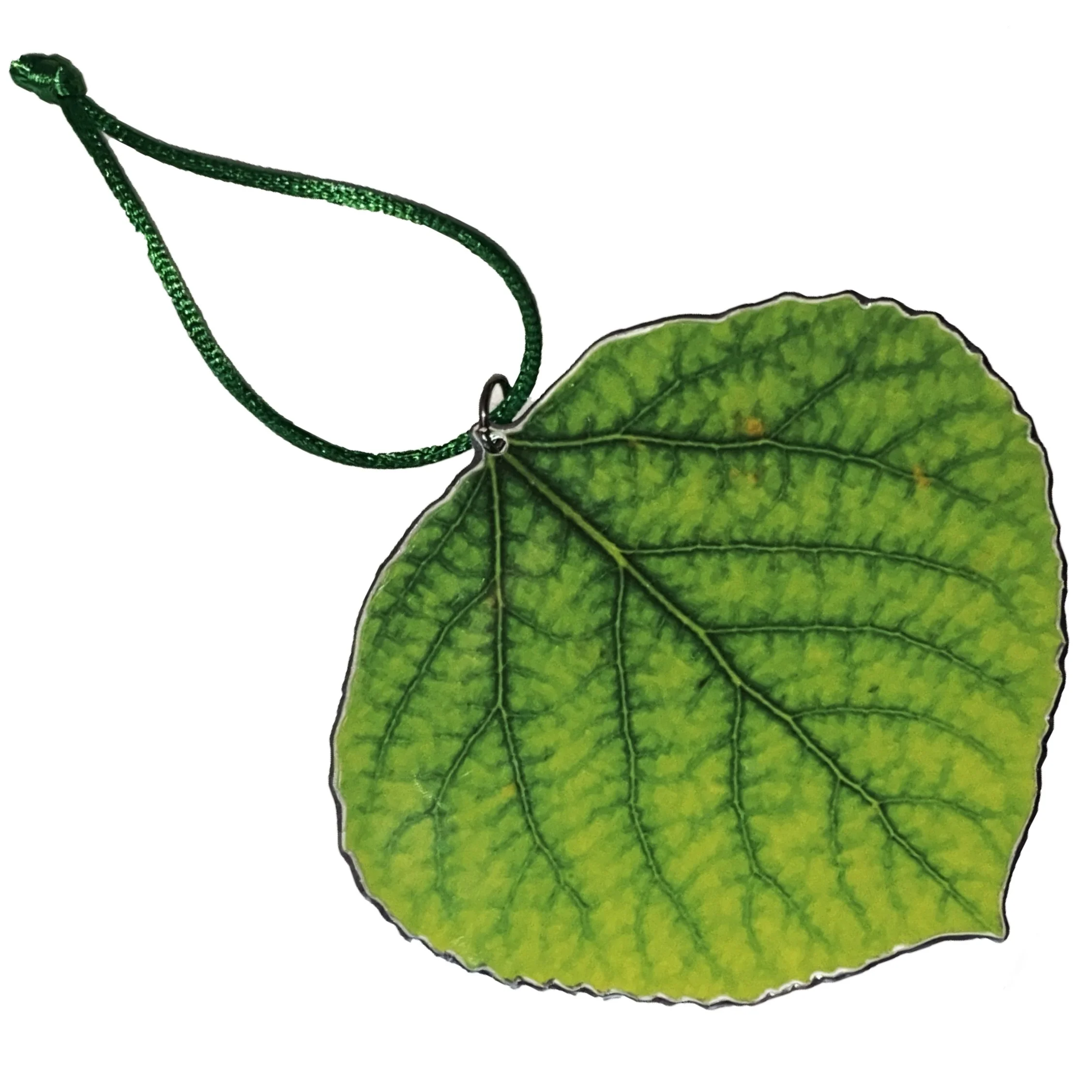 Ornament.jpg