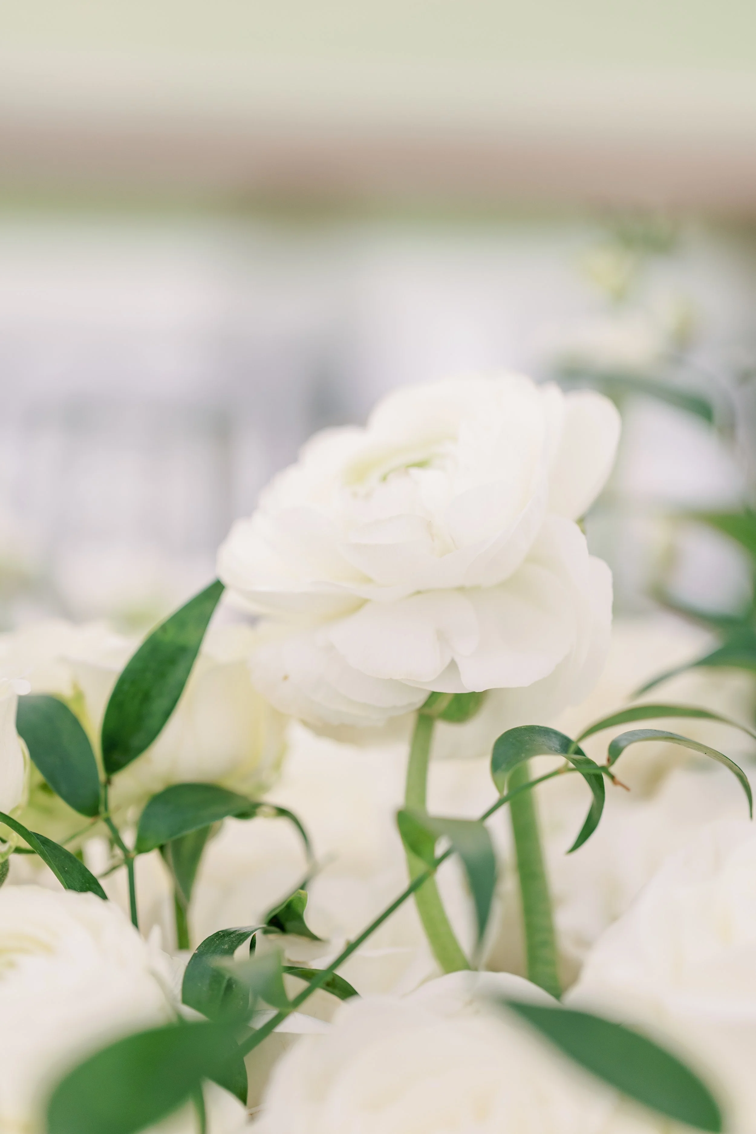 Beckham-Wedding-ChloePhotography-2022-0679.jpg