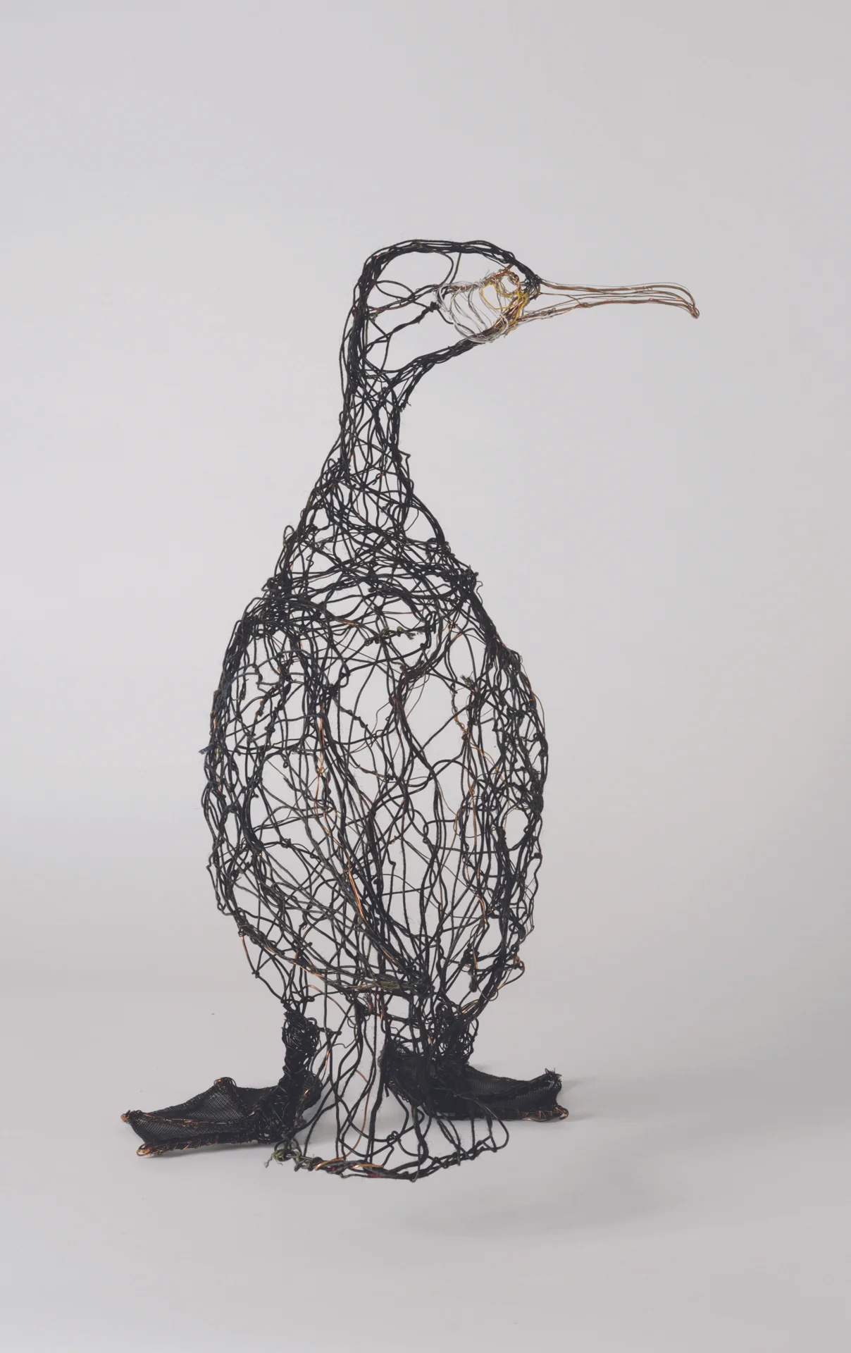 Cormorant