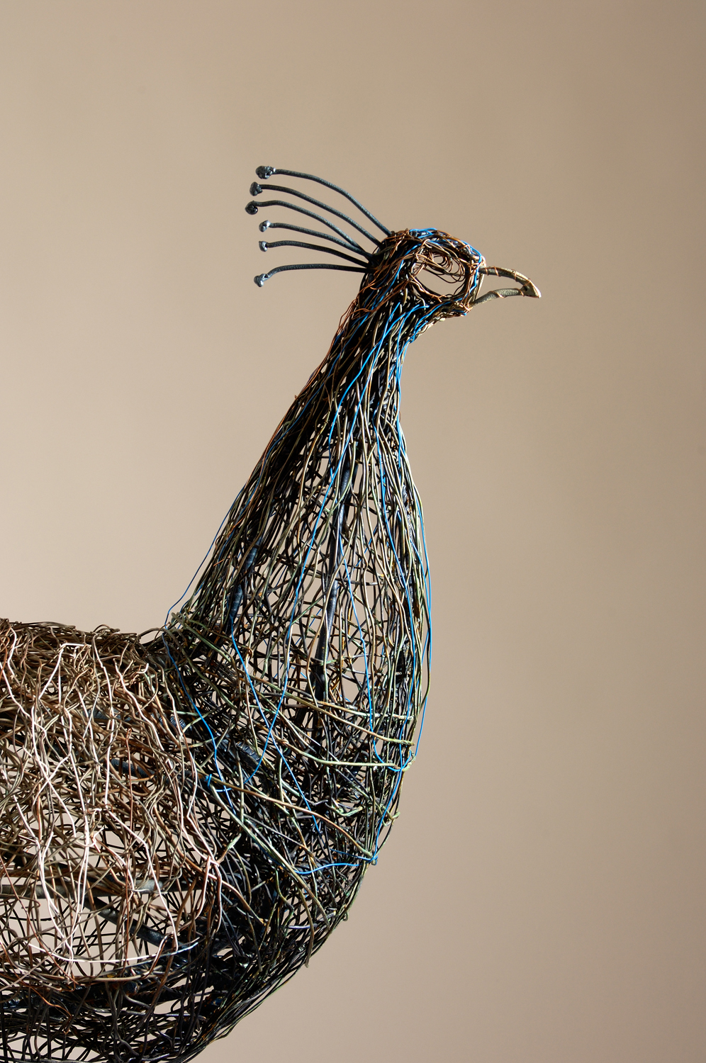 Peacock (detail)