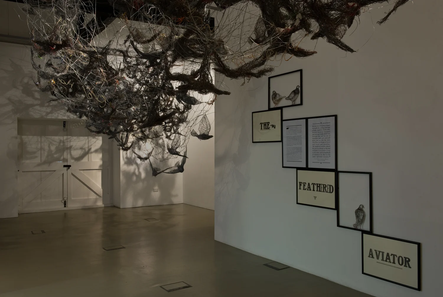 The Feathered Aviator Exhibition New Brewery Arts Cirencester July 2014