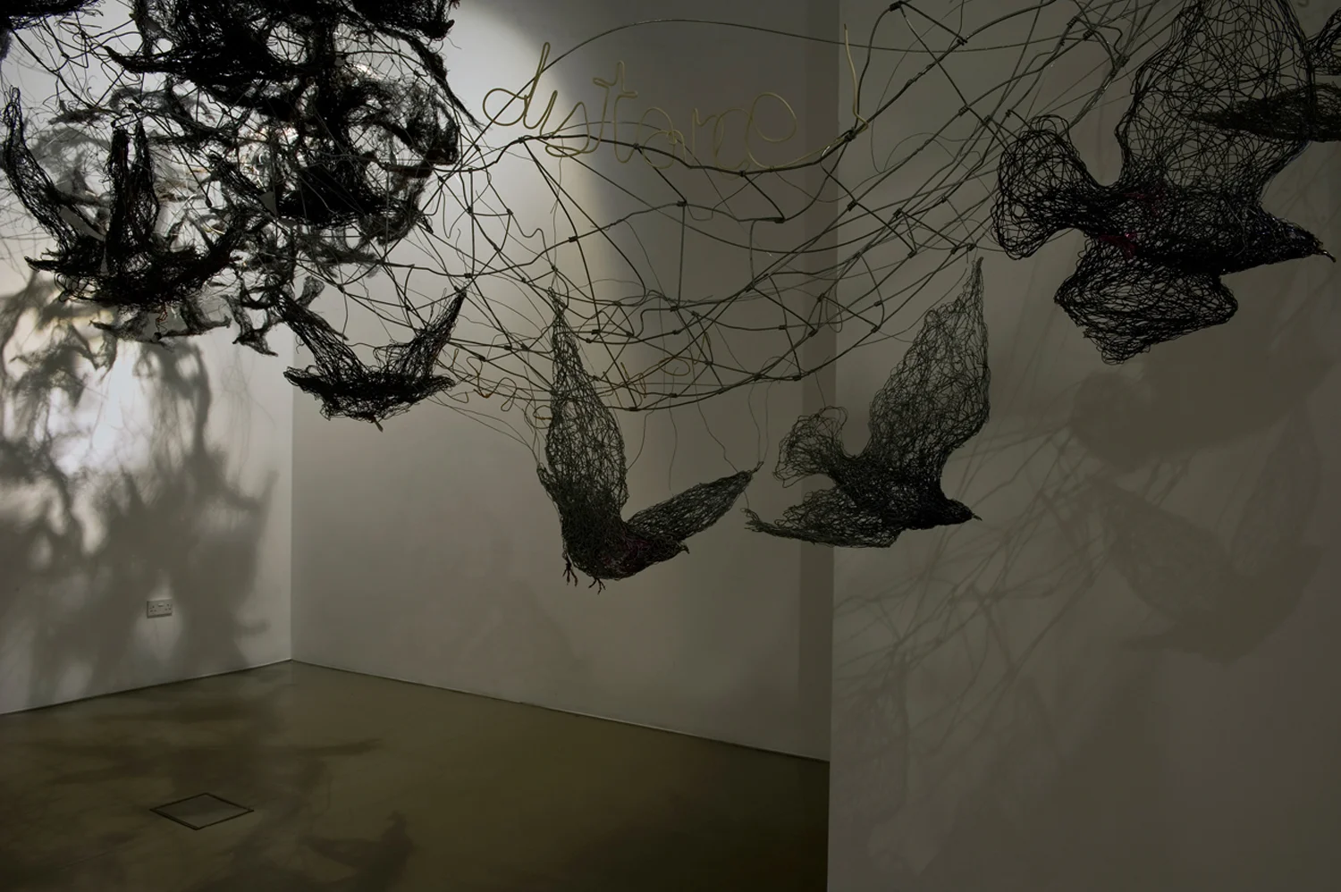The Feathered Aviator Exhibition New Brewery Arts Cirencester July 2014