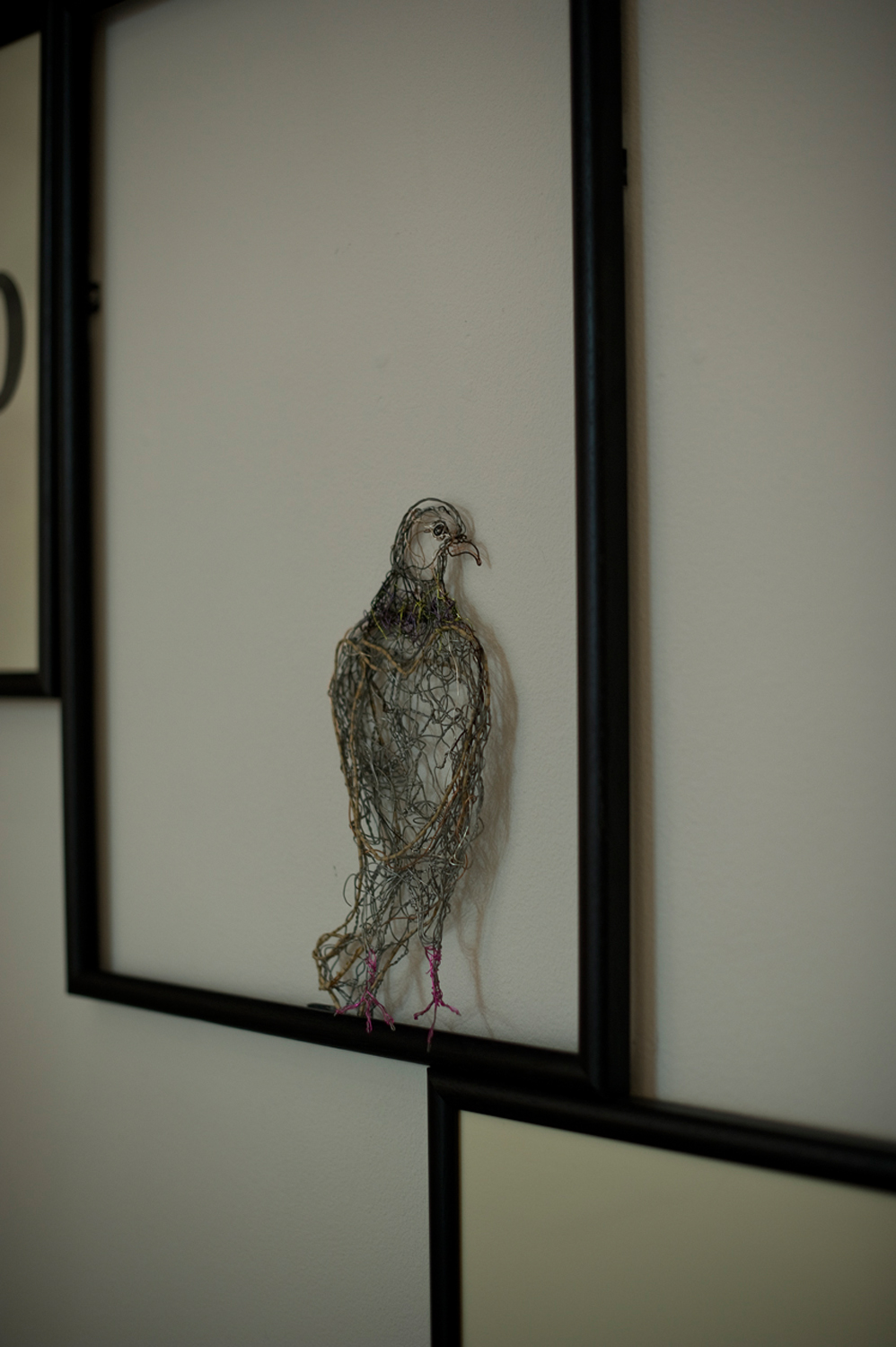The Feathered Aviator Exhibition New Brewery Arts Cirencester July 2014