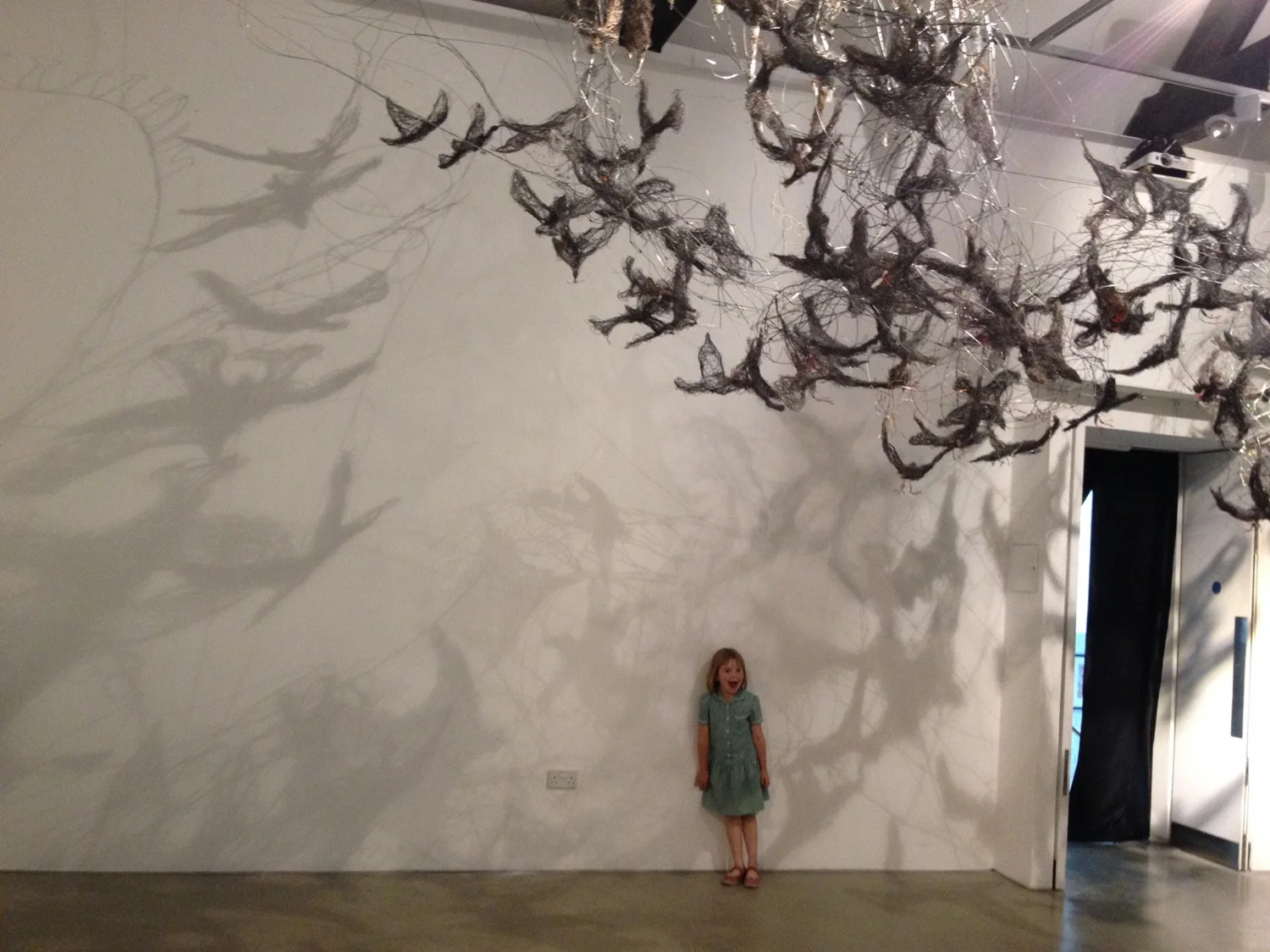 The Feathered Aviator Exhibition New Brewery Arts Cirencester July 2014