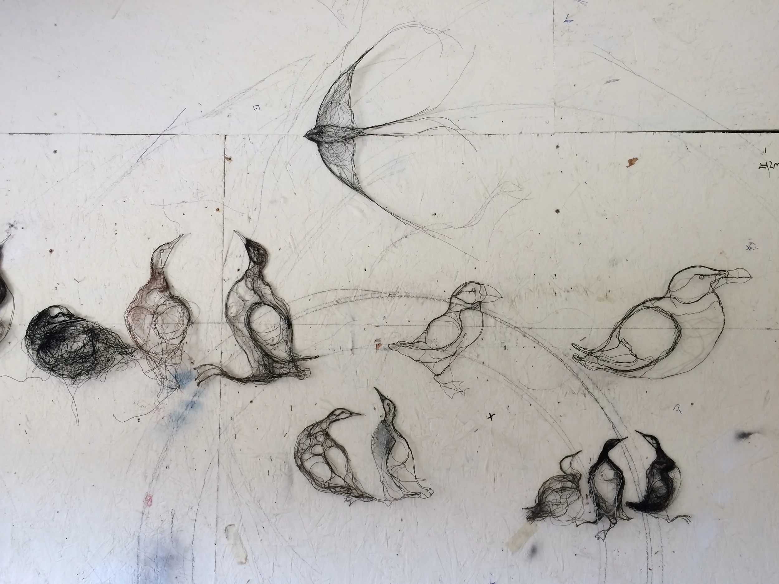 A selection of wire wall drawings made while on the island.