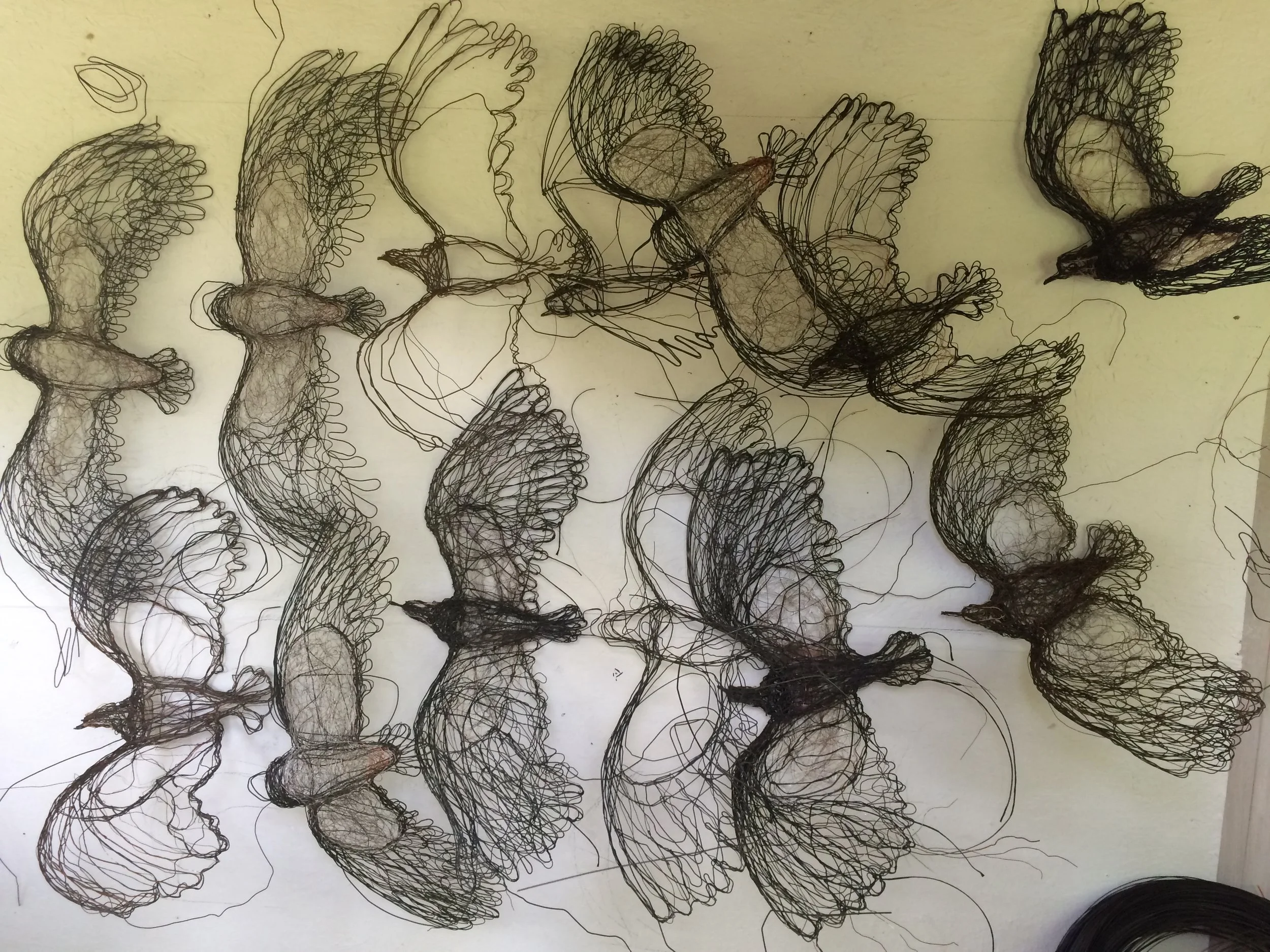 The Birds in the making on my studio wall.