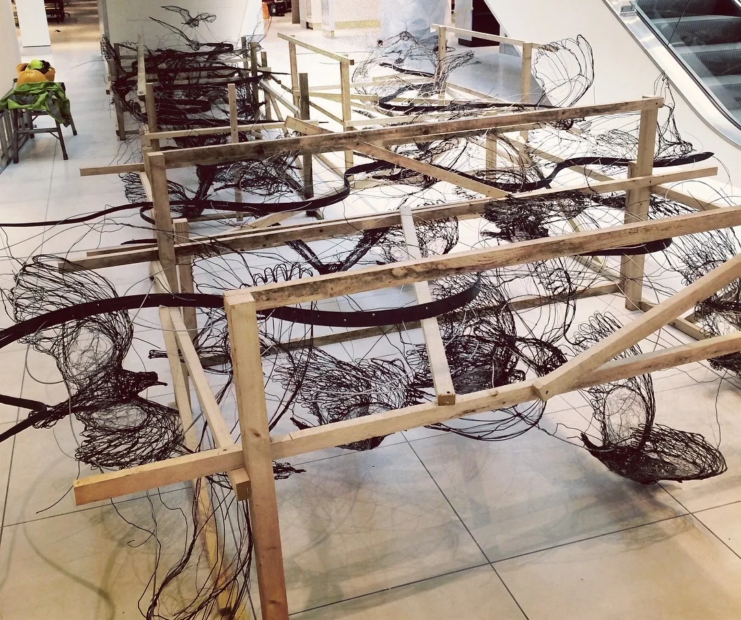 The birds in the crates after arriving at the store.