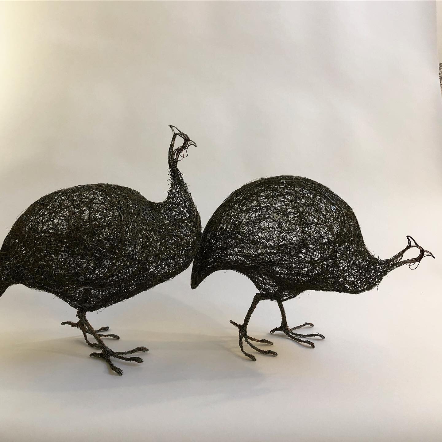 Just finished these two life-size guinea fowl. They are heading up to Scotland to a lovely customer who has been very patiently waiting for them.  Commissions are taking me a longer time to complete as I am working part-time in studio. I spend a day 