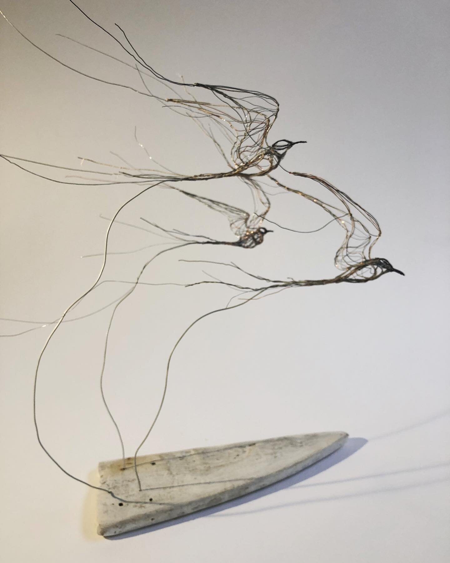 Thrilled to have my work in @societyofwildlifeartists Natural Eye Exhibition @mallgalleries The wire terns were &lsquo;sketched&rsquo; in the field sitting near the Cemlyn breeding colony on Anglesey. They were studies so I could use them as a memory
