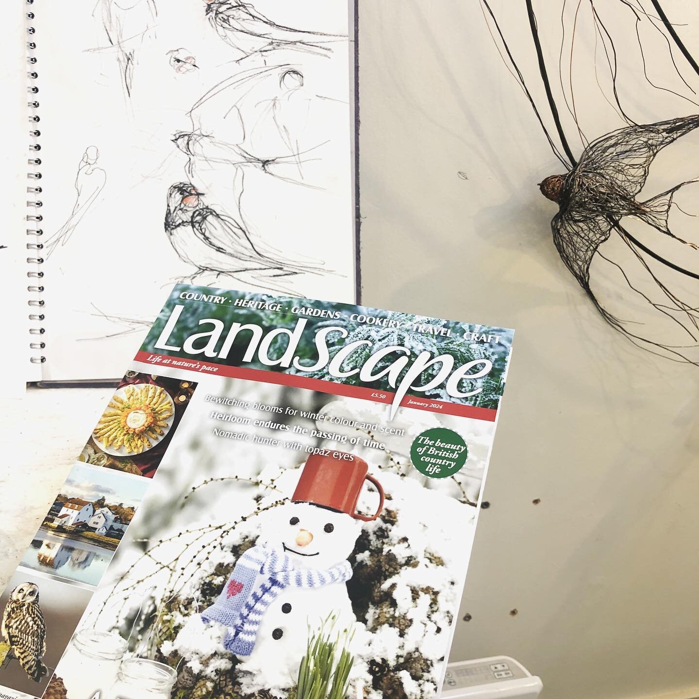 Thank you @landscapemag for a lovely article..enjoying reading your lovely magazine while having a little break from wirebending!
#wiresculpture #wiredrawing #wirebird #swallow #puffin #vitreousenamel #lifeofanartist