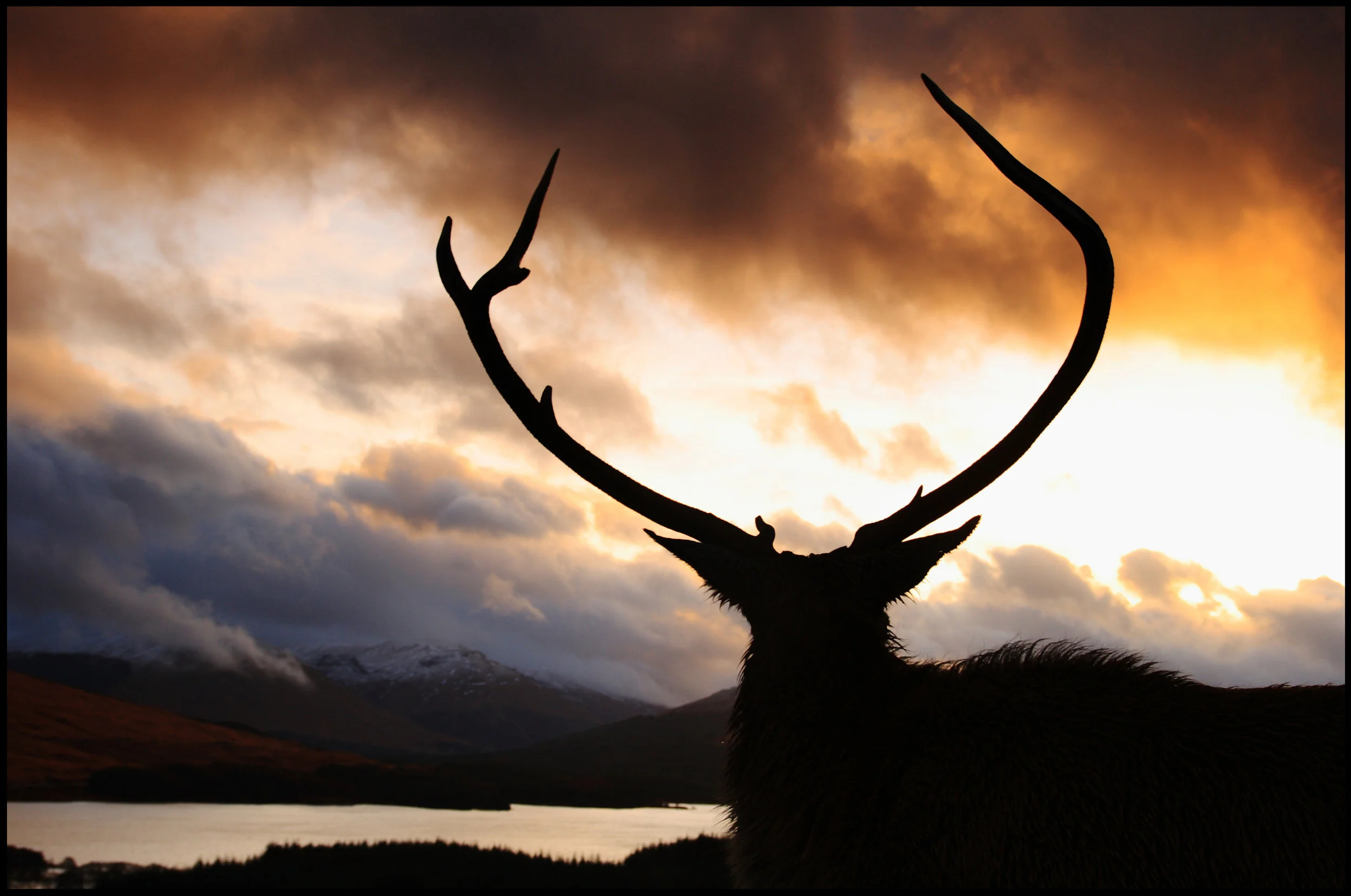 Scotland 01.JPG