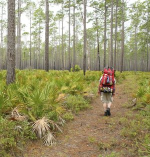 Florida National Scenic Trail