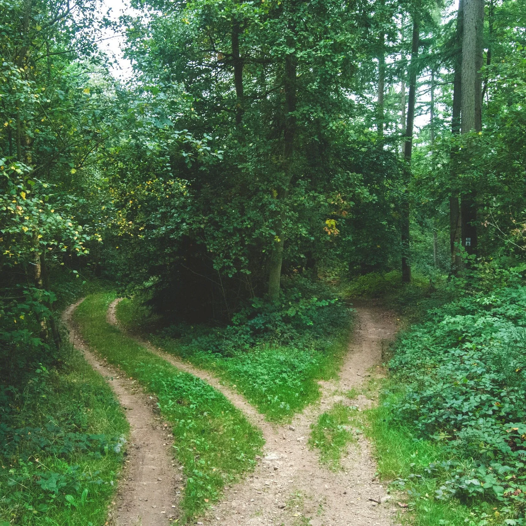 Tuesday Tactics: Make Some Decisions and Communicate