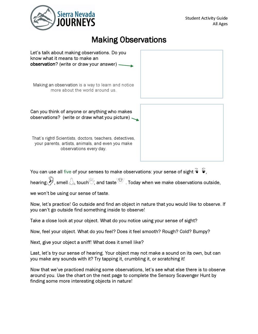 Making Observations, A Sensory Scavenger Hunt