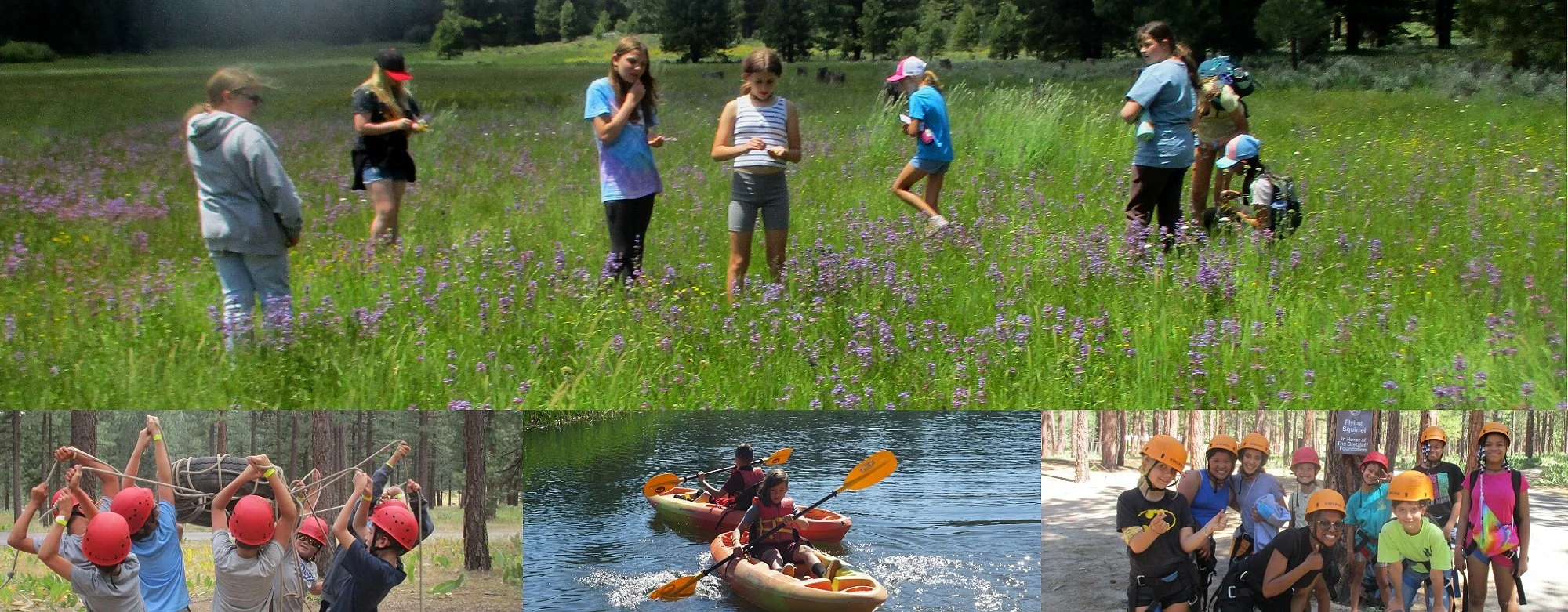 Sierra Nevada Journeys