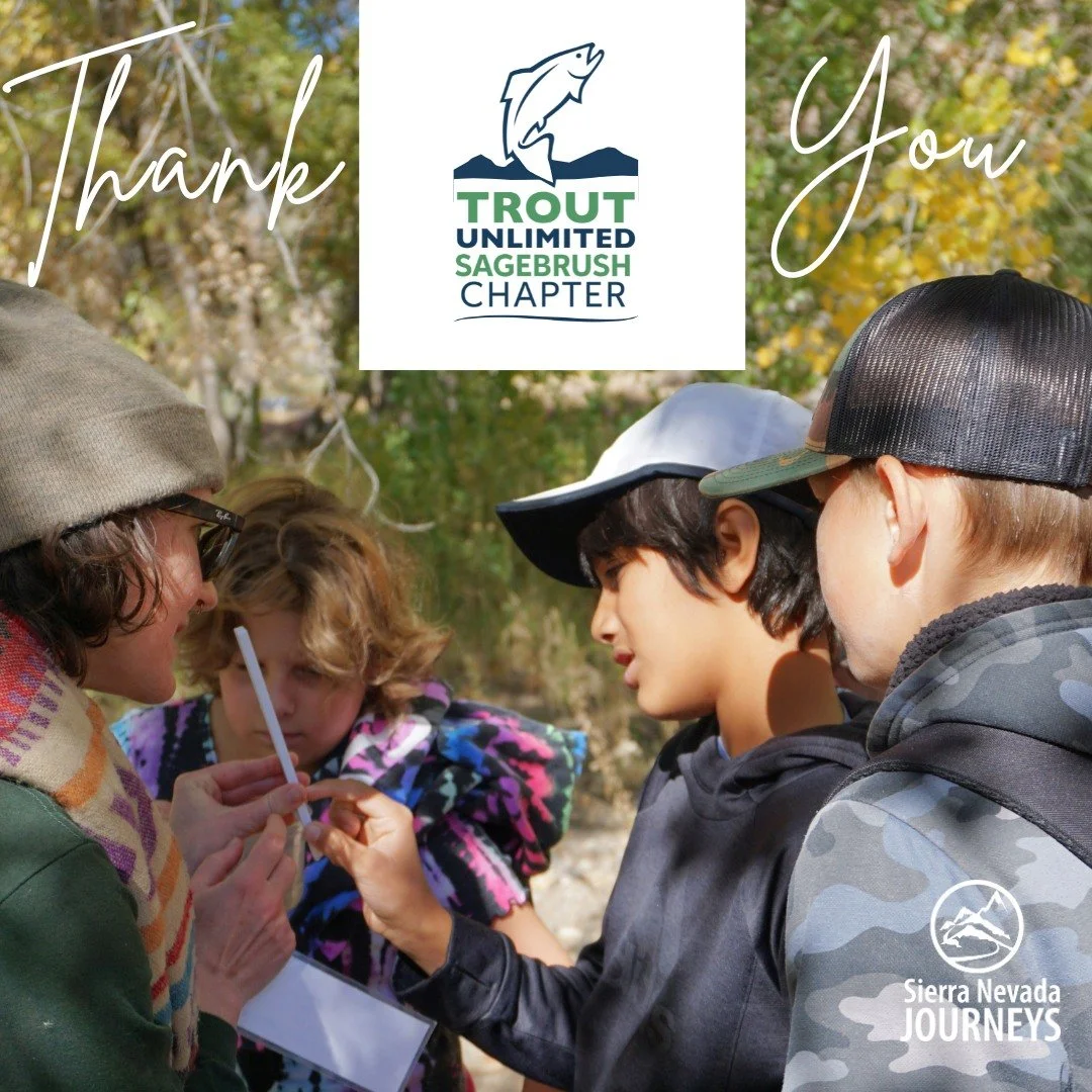 Students are diving into real-world science through our Watershed Education Initiative. By testing the Truckee River’s clarity and temperature and studying macroinvertebrates, they’re uncovering what lives beneath the surface and what it