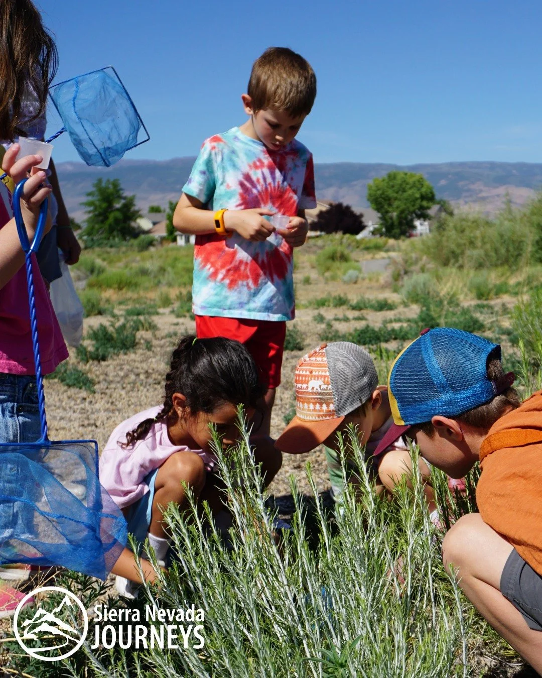 Imagine a summer filled with fresh air, new friendships, and hands-on learning&hellip;

Day Camp at Sierra Nevada Journeys gives kids space to explore, ask questions, and grow their confidence along the way.

Learn more about how your kids can enjoy 