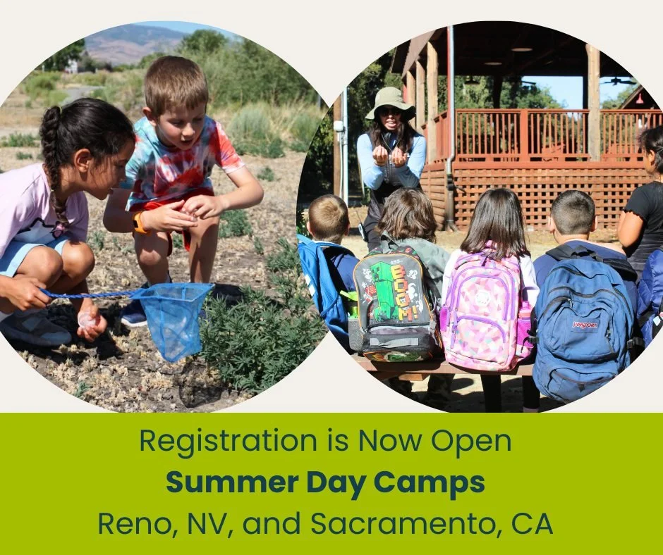 Some of the most meaningful learning happens outside.

At our Summer Day Camp, kids build confidence by exploring nature, trying new things, and learning alongside friends. They practice teamwork, problem-solving, and trusting their own ideas &mdash;