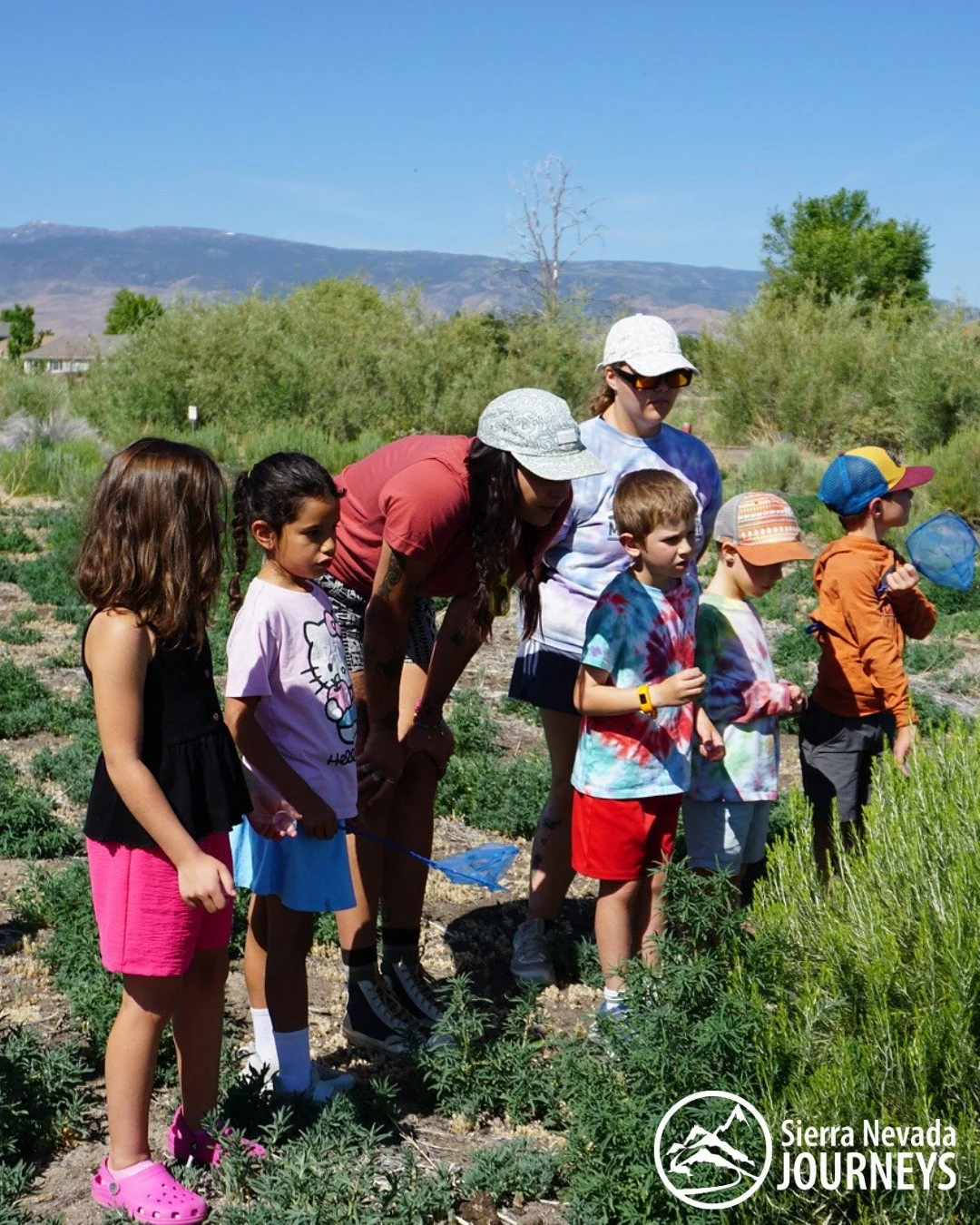 Q Why Outdoor Learning? 
A. Outdoor learning changes how science feels. 

It lowers pressure, sparks curiosity, and helps students engage through experience rather than memorization.
