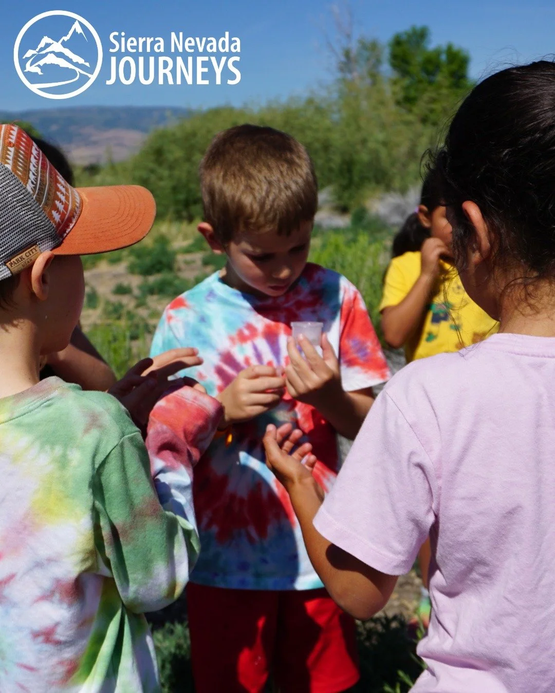 Are you looking forward to summer?  We sure are! Adventures await kids ages 6-12 years old in the Reno area at our Rosewood Nature Area Day Camp!

Our team of talented educators and camp counselors lead campers through a combination of daily themed S