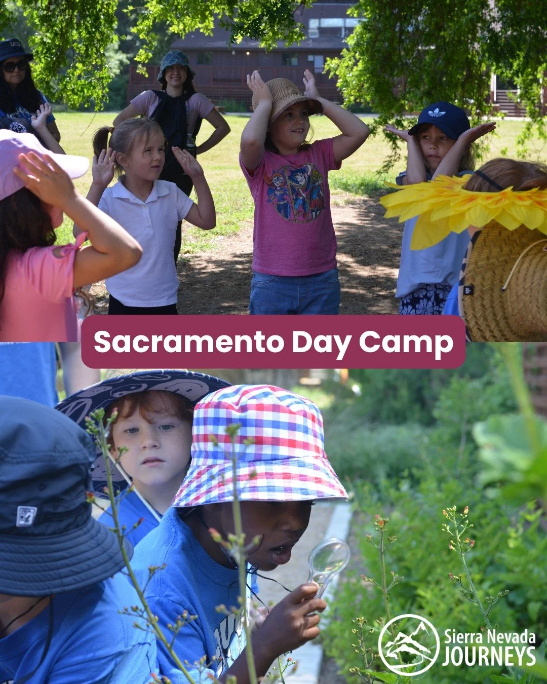 Jump into the fun with our Sacramento summer day camp, where campers can experience all the adventure and enjoyment of a Sierra Nevada Journeys program in a day camp setting. We offer eight weeks of STEM-based day camp programs for children ages 6-12