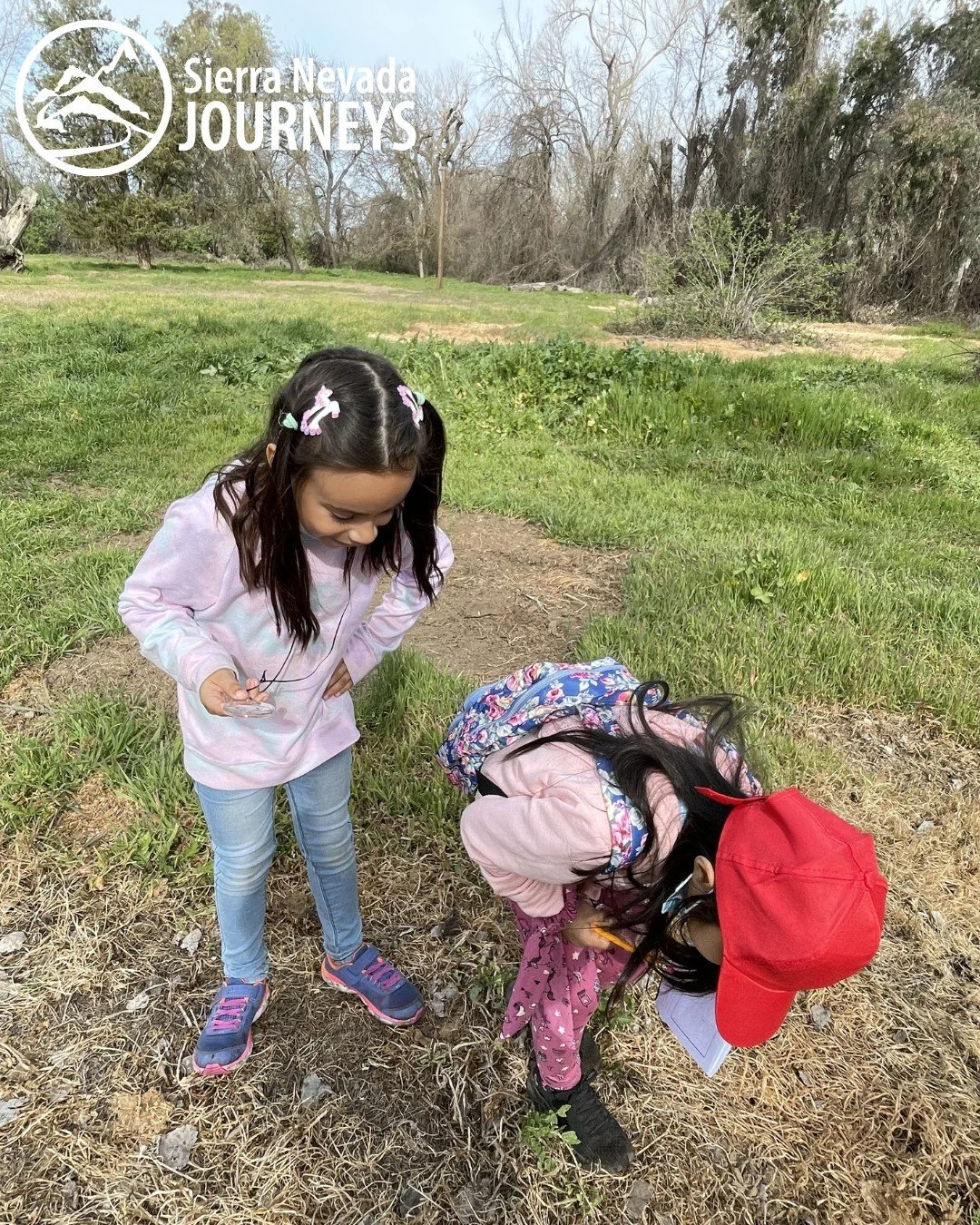 Did you know peacocks roam the grounds of Camp Pollock &ndash; the site of our Sacramento Summer Day Camp? Some people believe seeing a peacock is good luck! Learn more about our Summer Day Camp at Camp Pollock on our website!