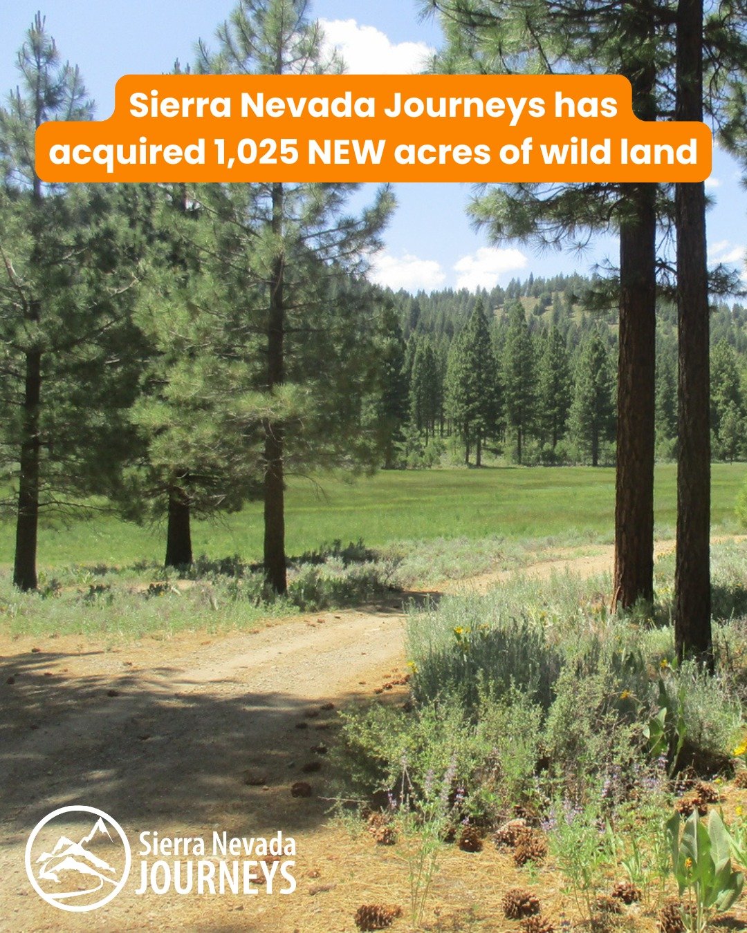 This year, something extraordinary is happening.

Sierra Nevada Journeys has acquired 1,025 acres of wild land, a place where thousands more students will:
&bull;	Catch mayflies and explore aquatic life
&bull;	Test the health of local watersheds
&bul