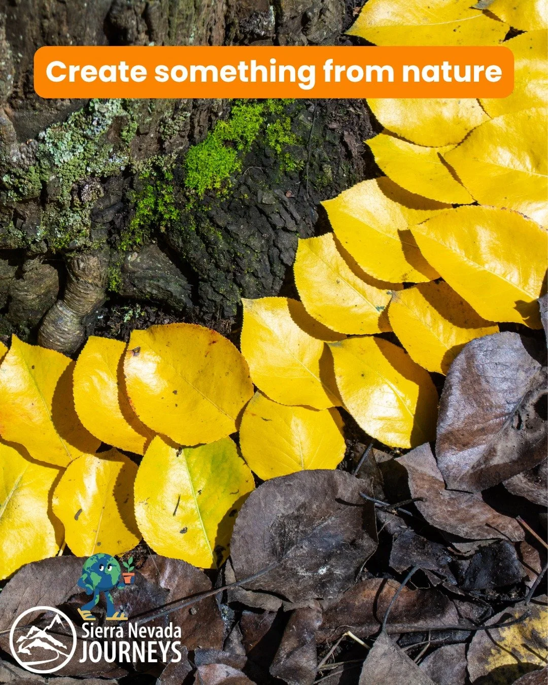 Create something from nature with your kids!

Use fallen leaves, sticks, or rocks to make art.

It&rsquo;s creativity and environmental respect in one fun, easy lesson.

Learn more ways to celebrate Earth Day with your kids at or blog!

And make your