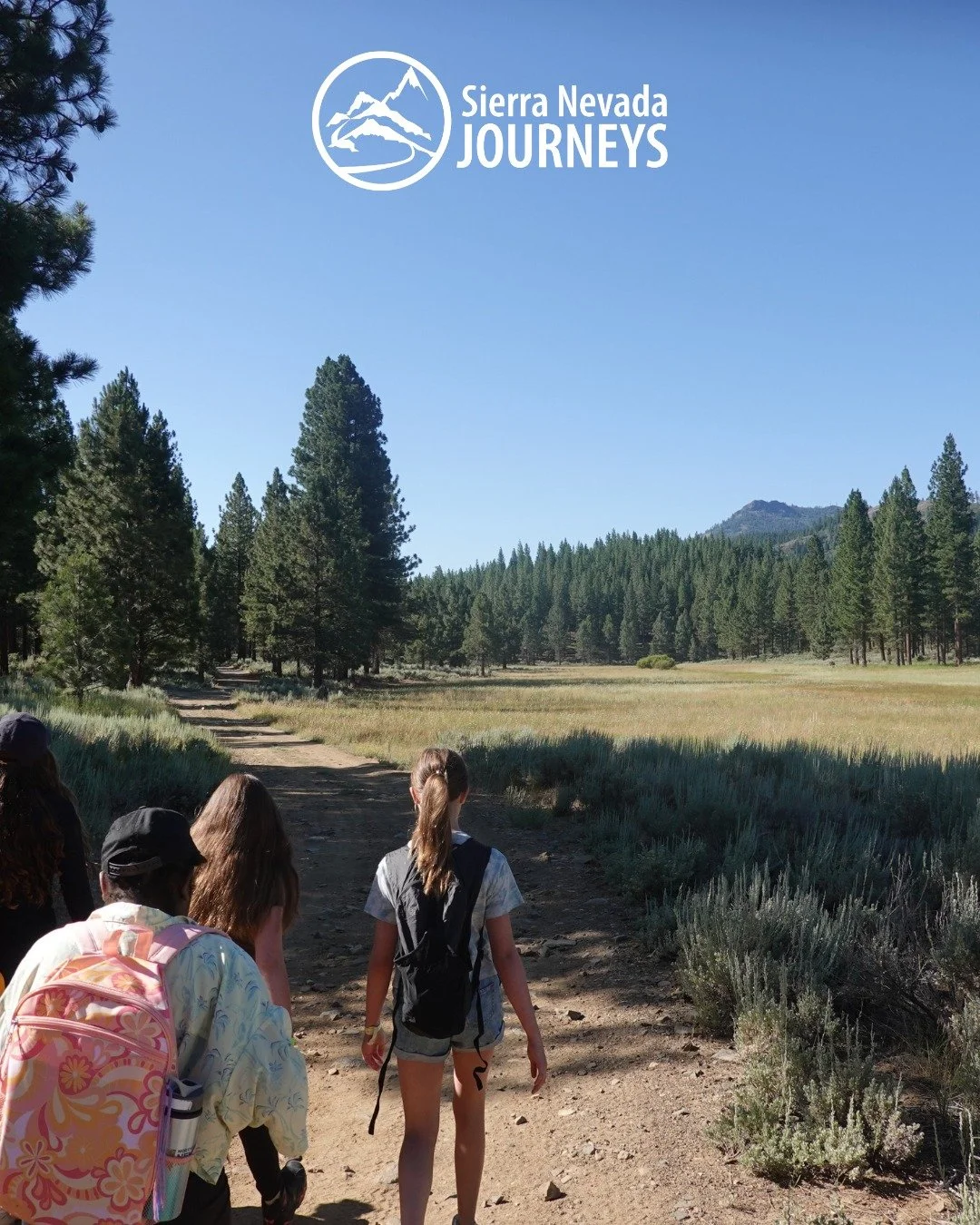 Q: What does it mean to &ldquo;Leave No Trace&rdquo;? 
A: It&rsquo;s about respecting the places we explore.

At camp, kids learn simple practices like staying on trails, leaving natural items where they are, and caring for shared spaces.

These smal