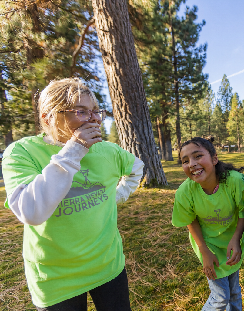 lime with grey logo t shirts.png