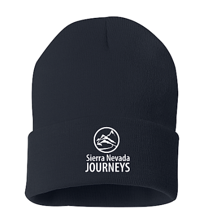 beanie in navy.png