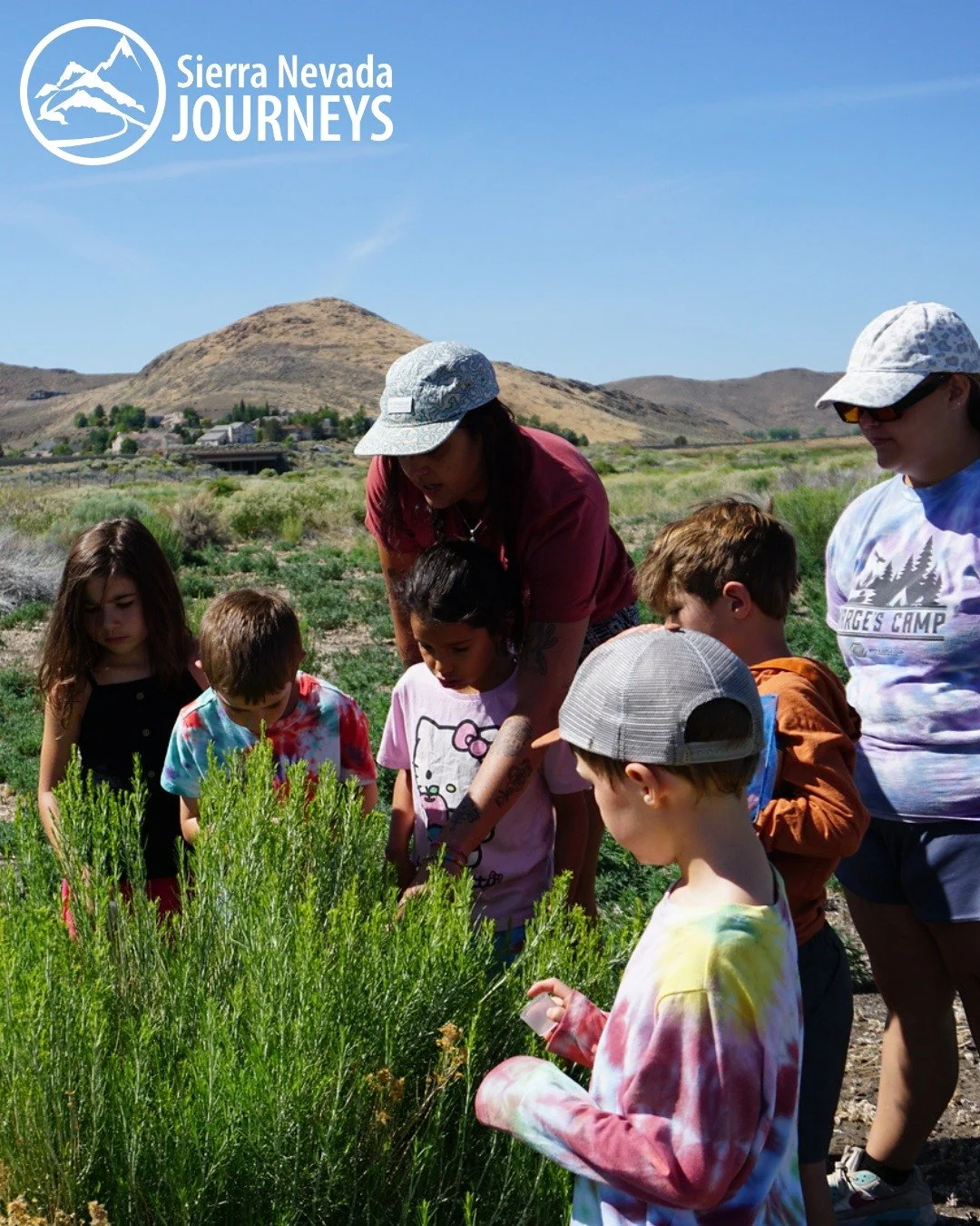 Reno Day Camp combines science, movement, creativity, and outdoor fun into an unforgettable summer experience for kids ages 5-12. Join us this summer at Rosewood Nature Area.
