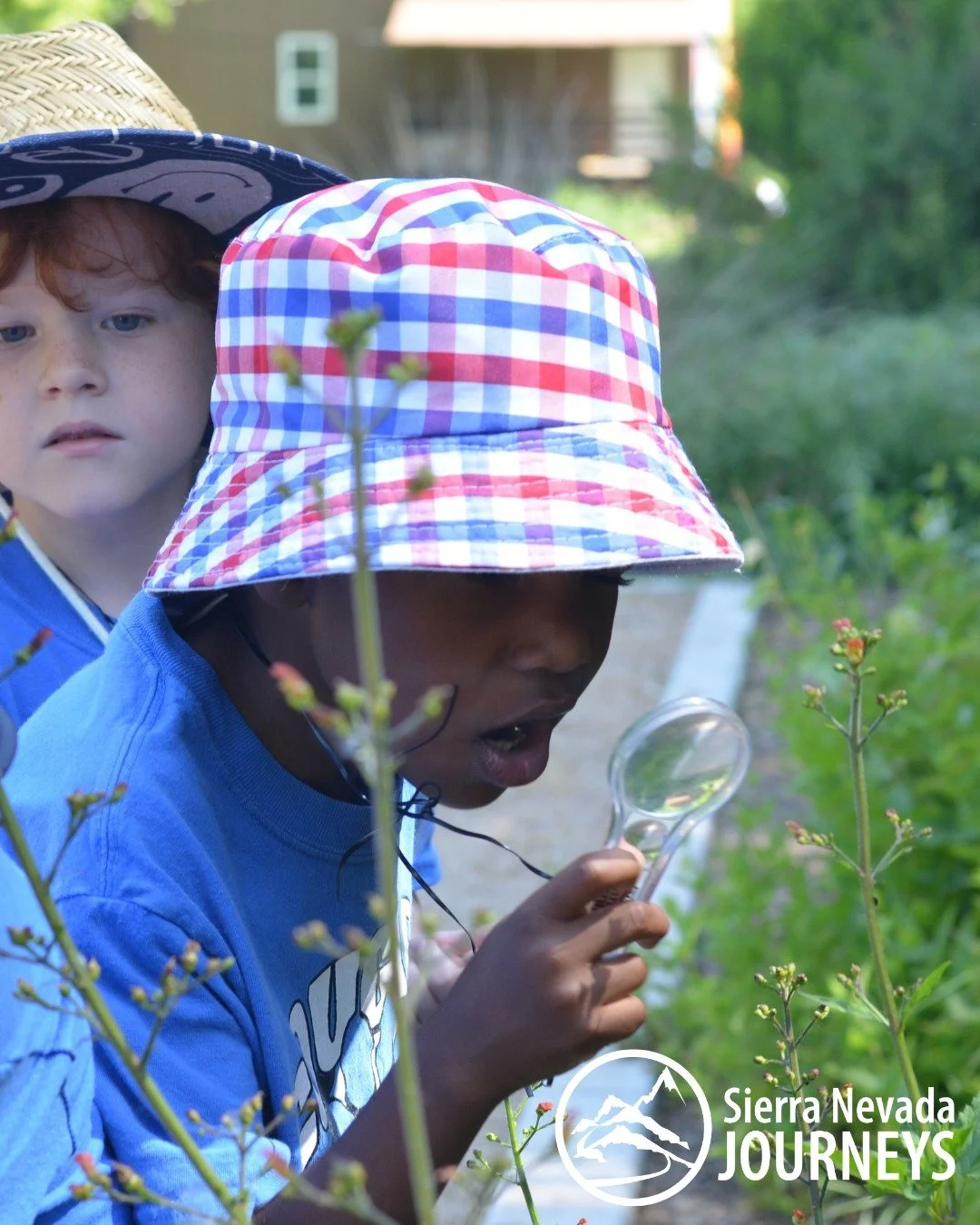 Sacramento families: If you&rsquo;re looking for a summer experience that keeps kids active, outdoors, learning, and making friends, Sierra Nevada Journeys Day Camp at Camp Pollock is ready for your camper.