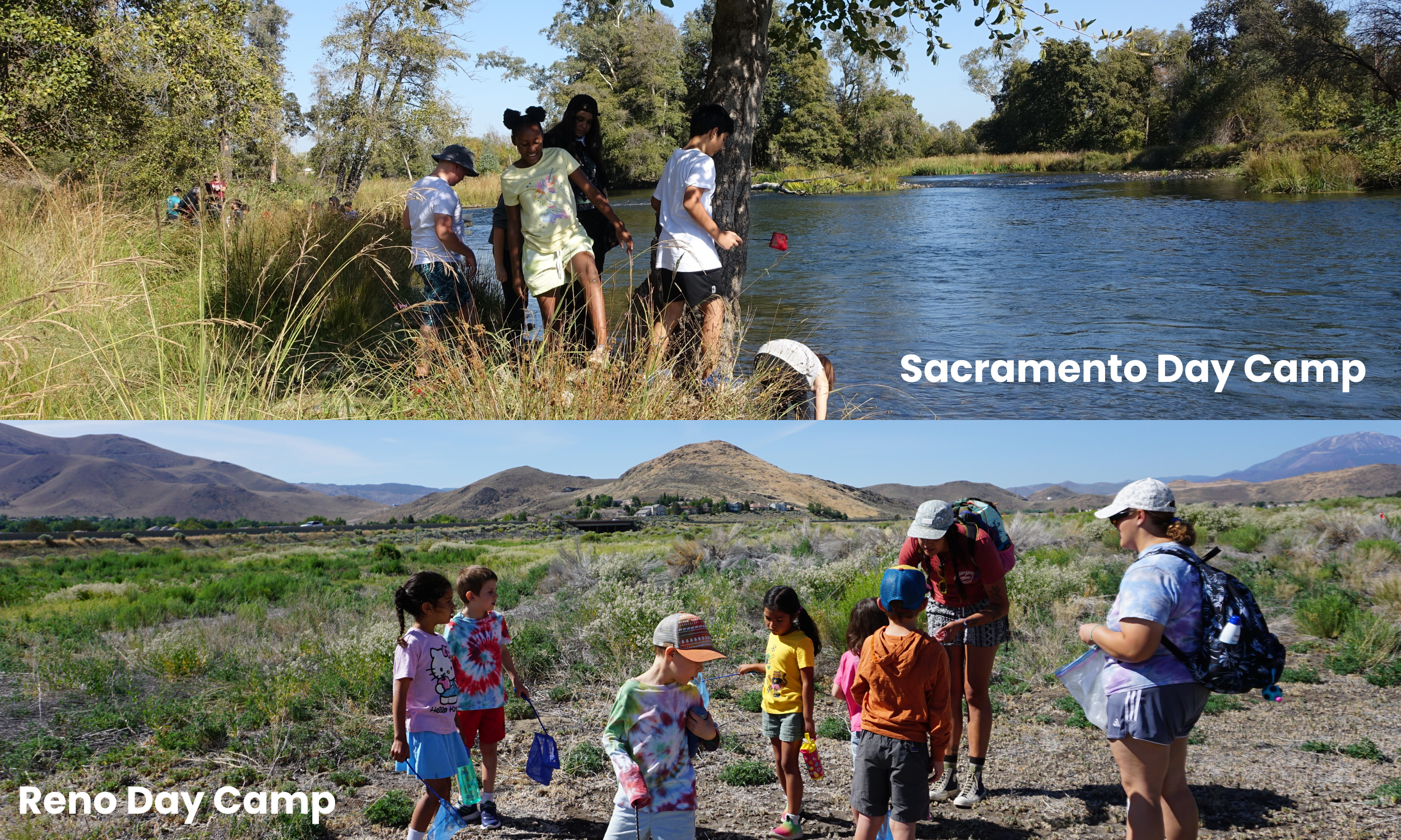 Day Camp Blog Image January 2026.png