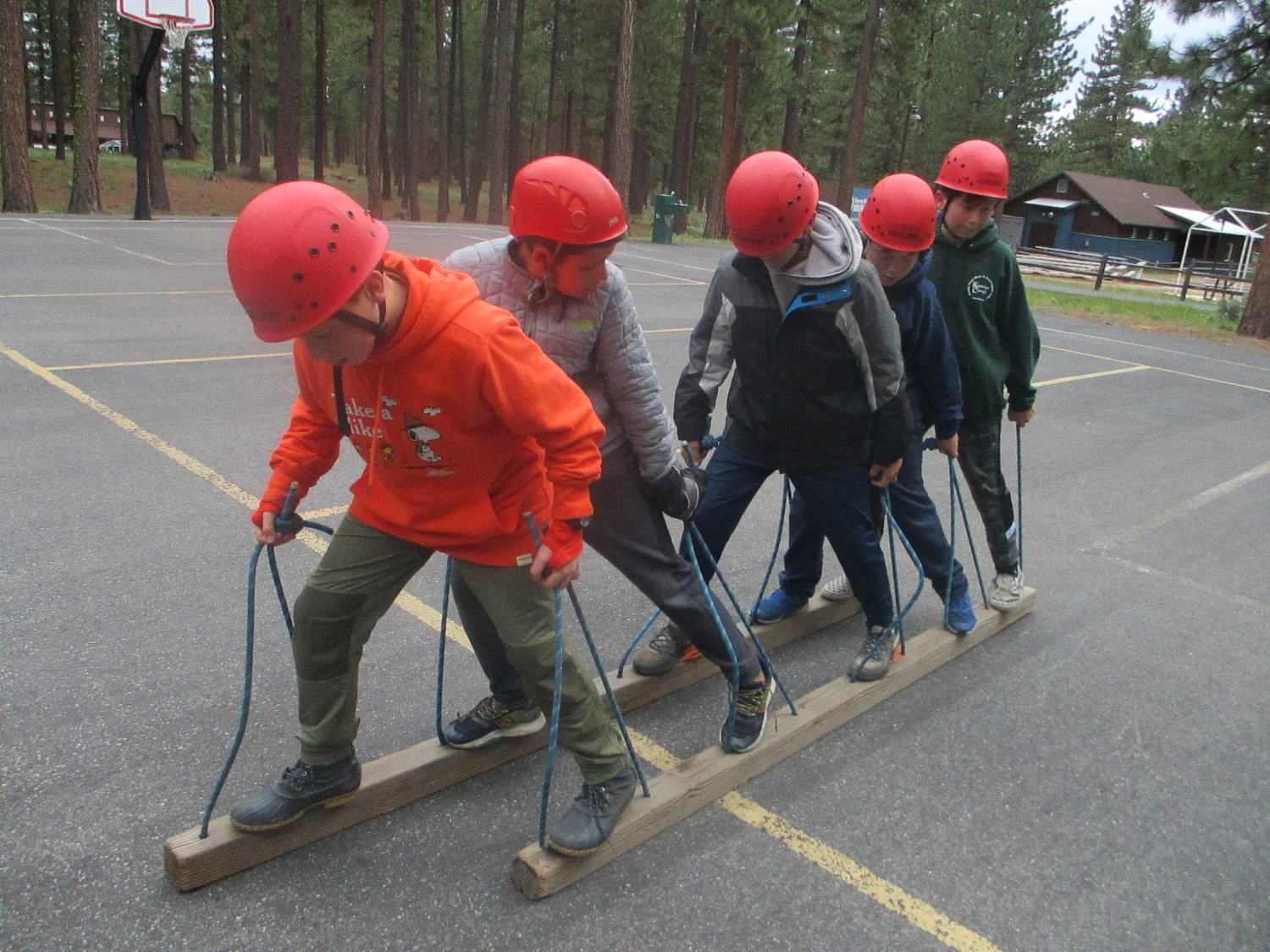 Science Camp - Overnight Field Trip | Sierra Nevada Journeys