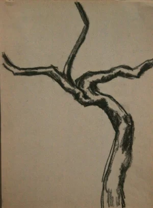 Tree-Washington Square Park. Charcoal pencil. 1970s.
