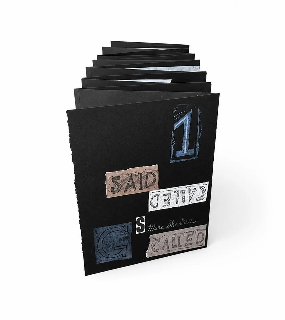 Book pic 1.jpg