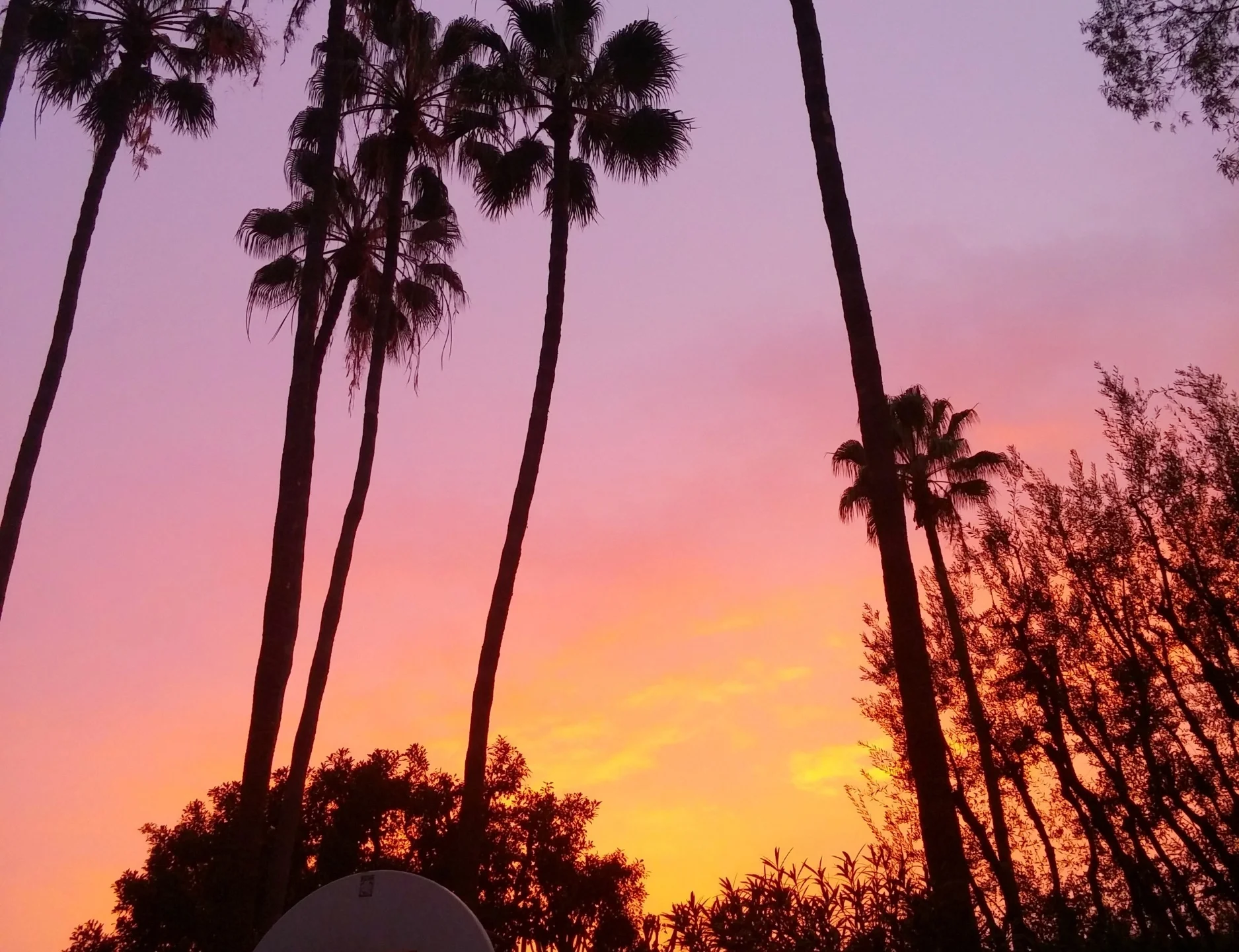 20150129_172616.jpg