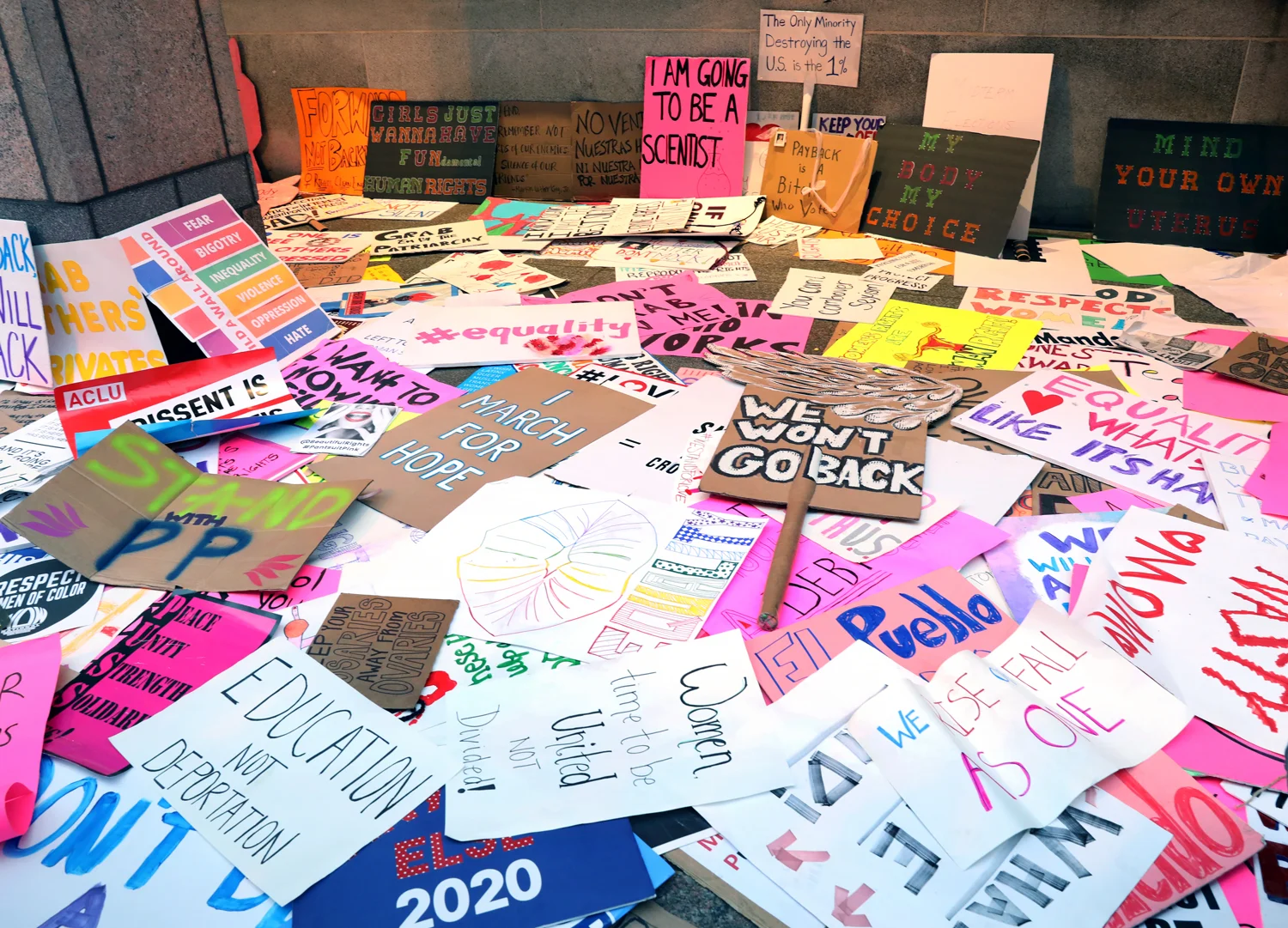 We Won't Go Back | The Women's March | Washington, DC | January 21, 2017