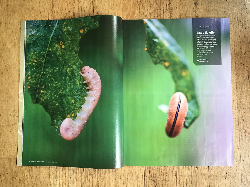 Alaska Magazine , July/August 2017