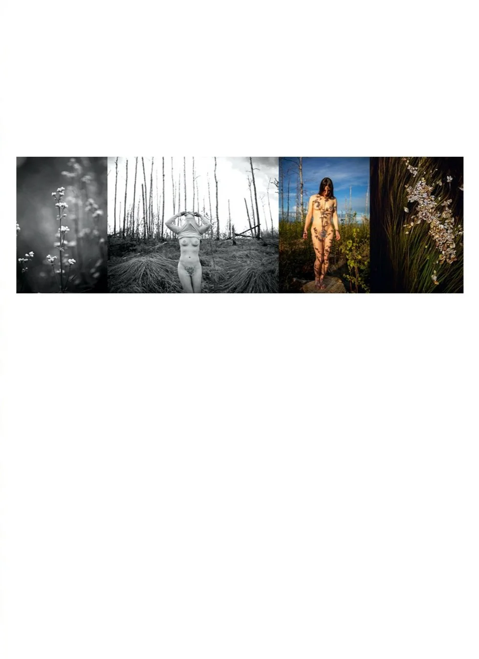 KateWool_Claire_sequence_05.jpg