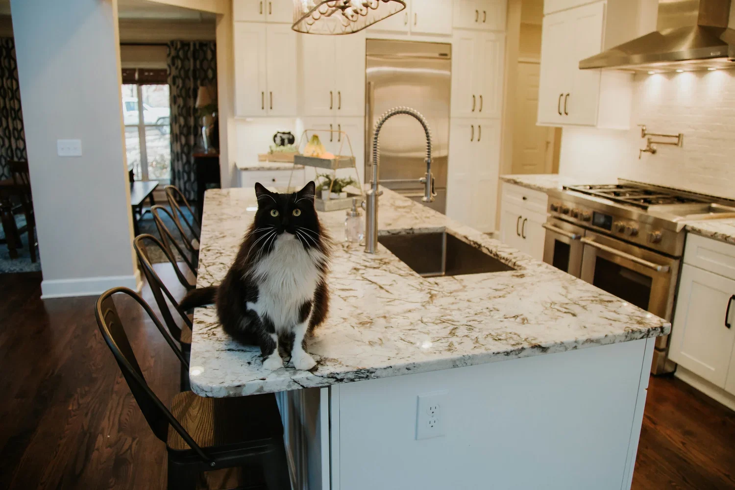 A black and white cat sitting on a marble kitchen island.