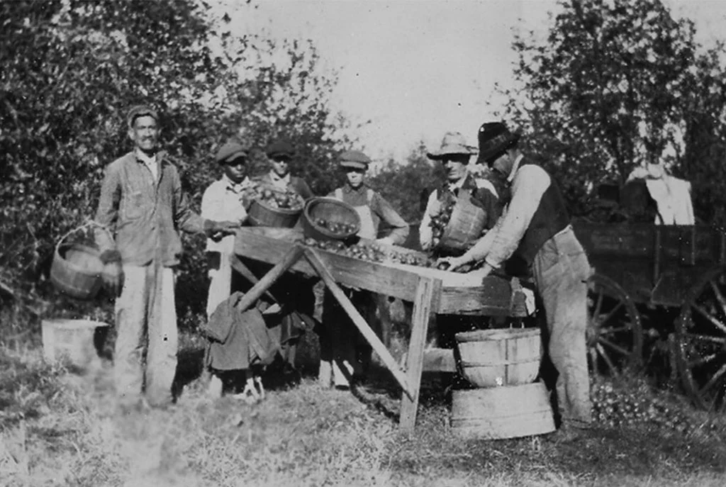 Apple pickin’ time