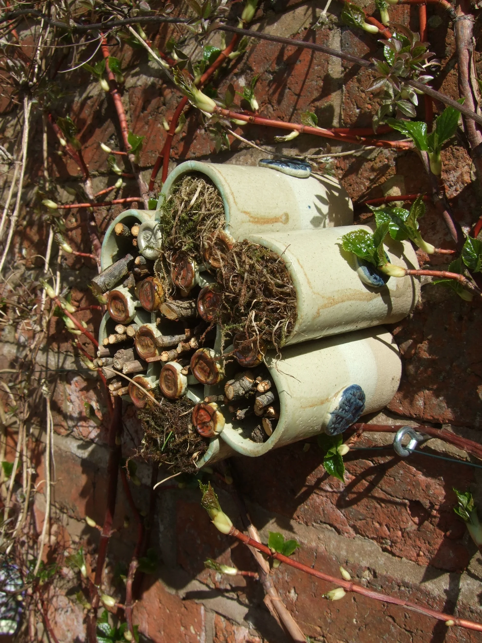 DSCF6262.JPG