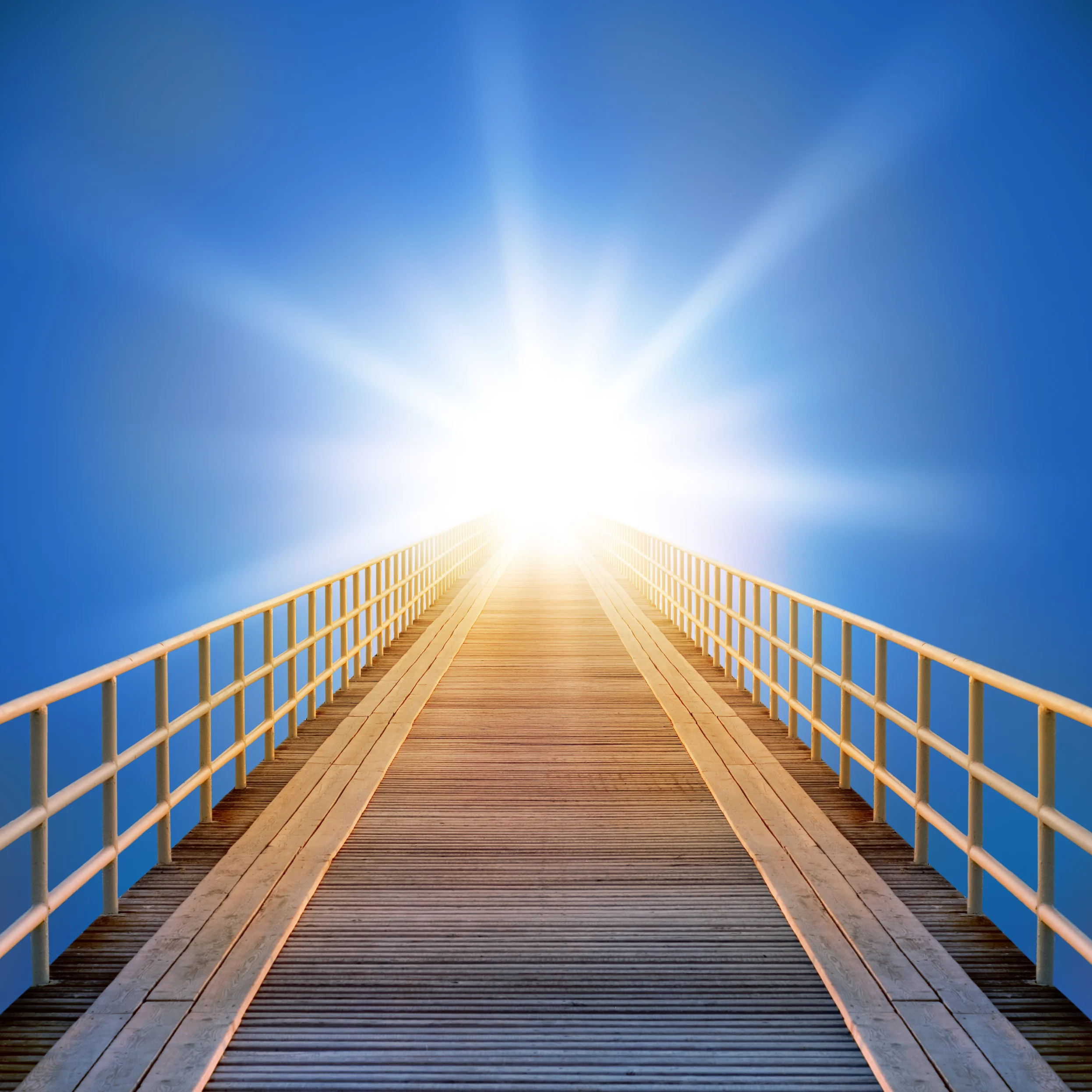 AdobeStock_51700909.jpg