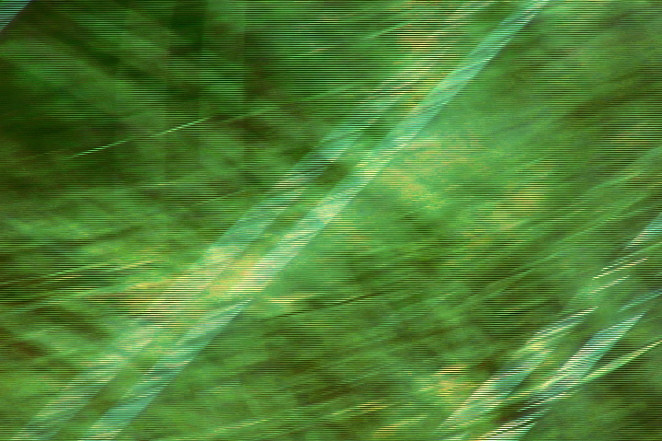 Storm_Detail_12.jpg