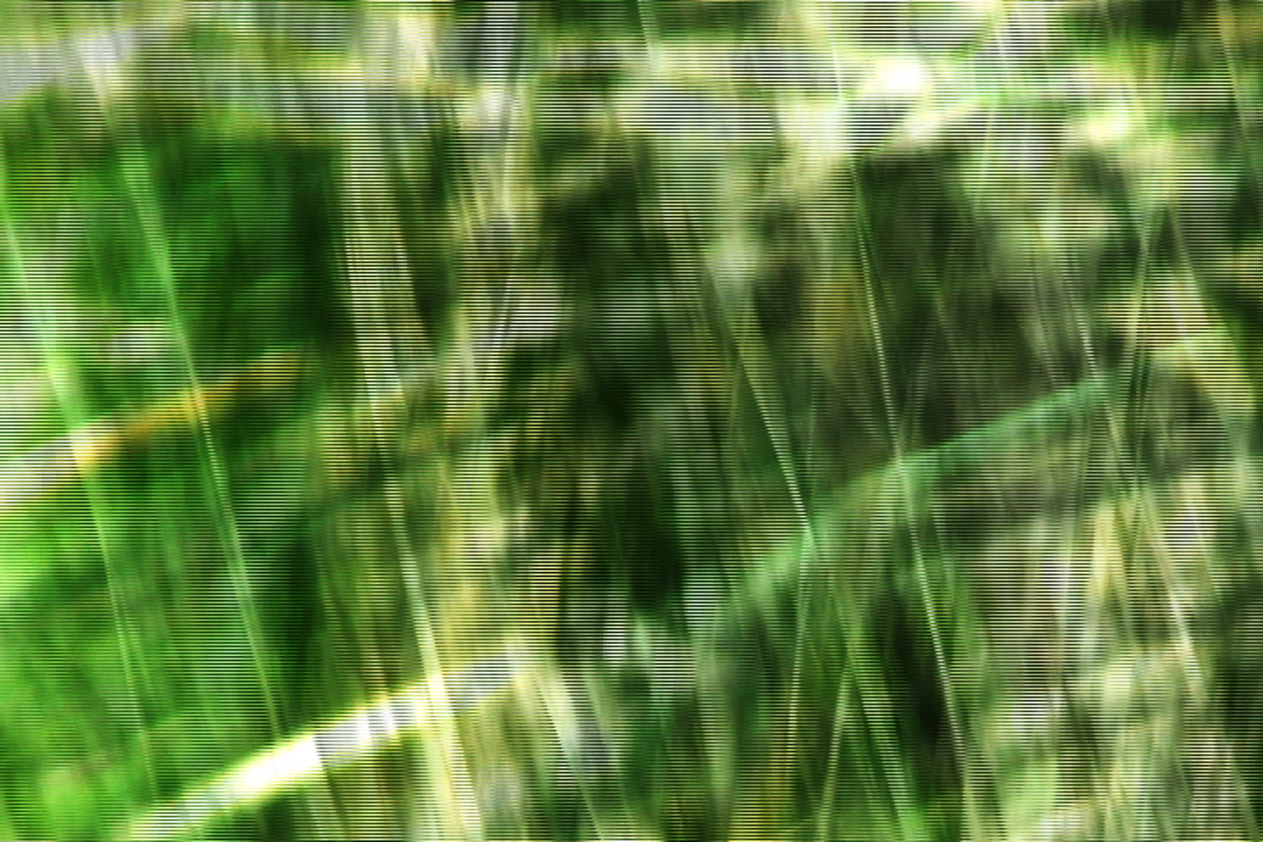 Storm_Detail_13.jpg